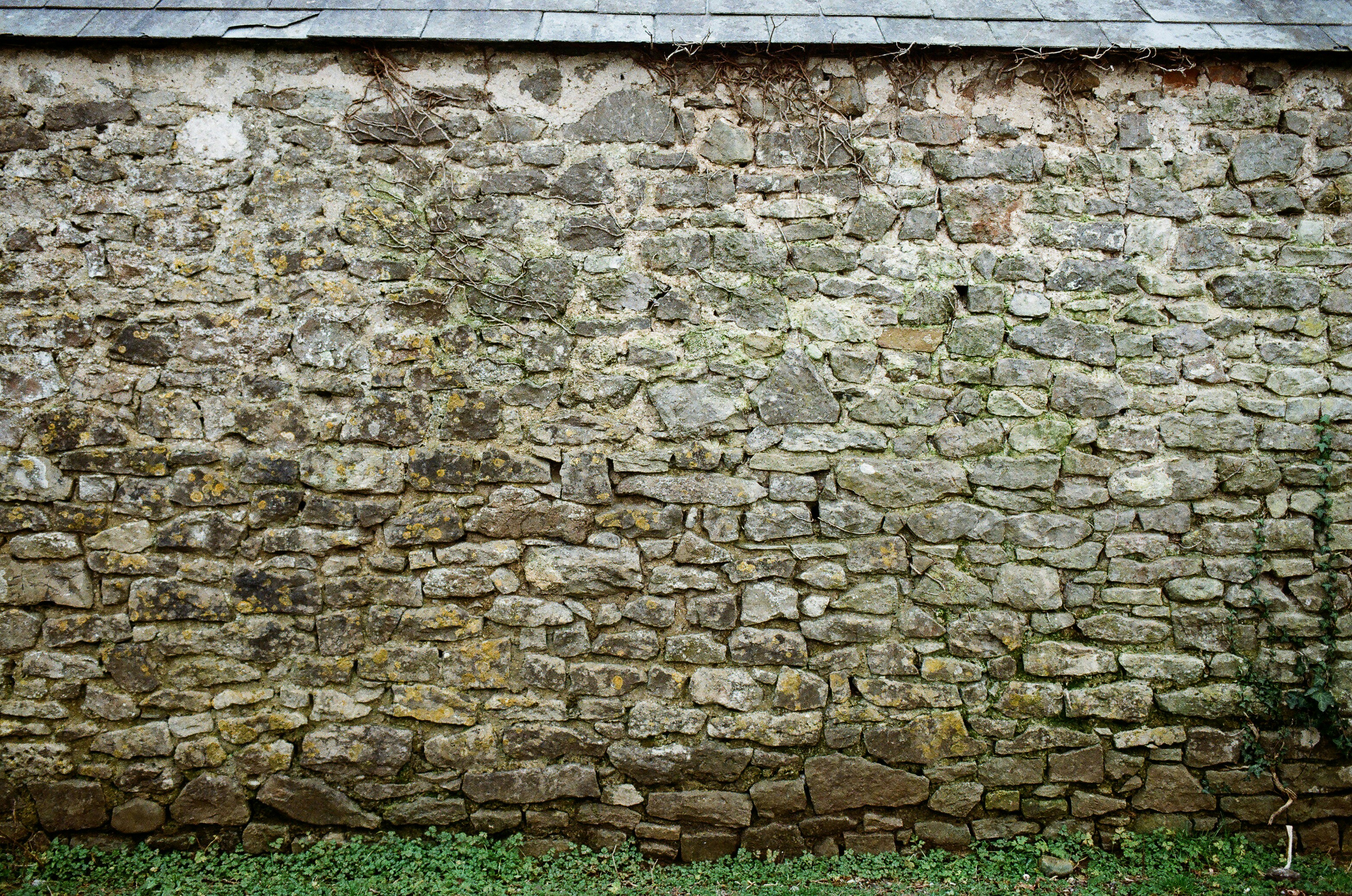 Photo by tanyabarrow