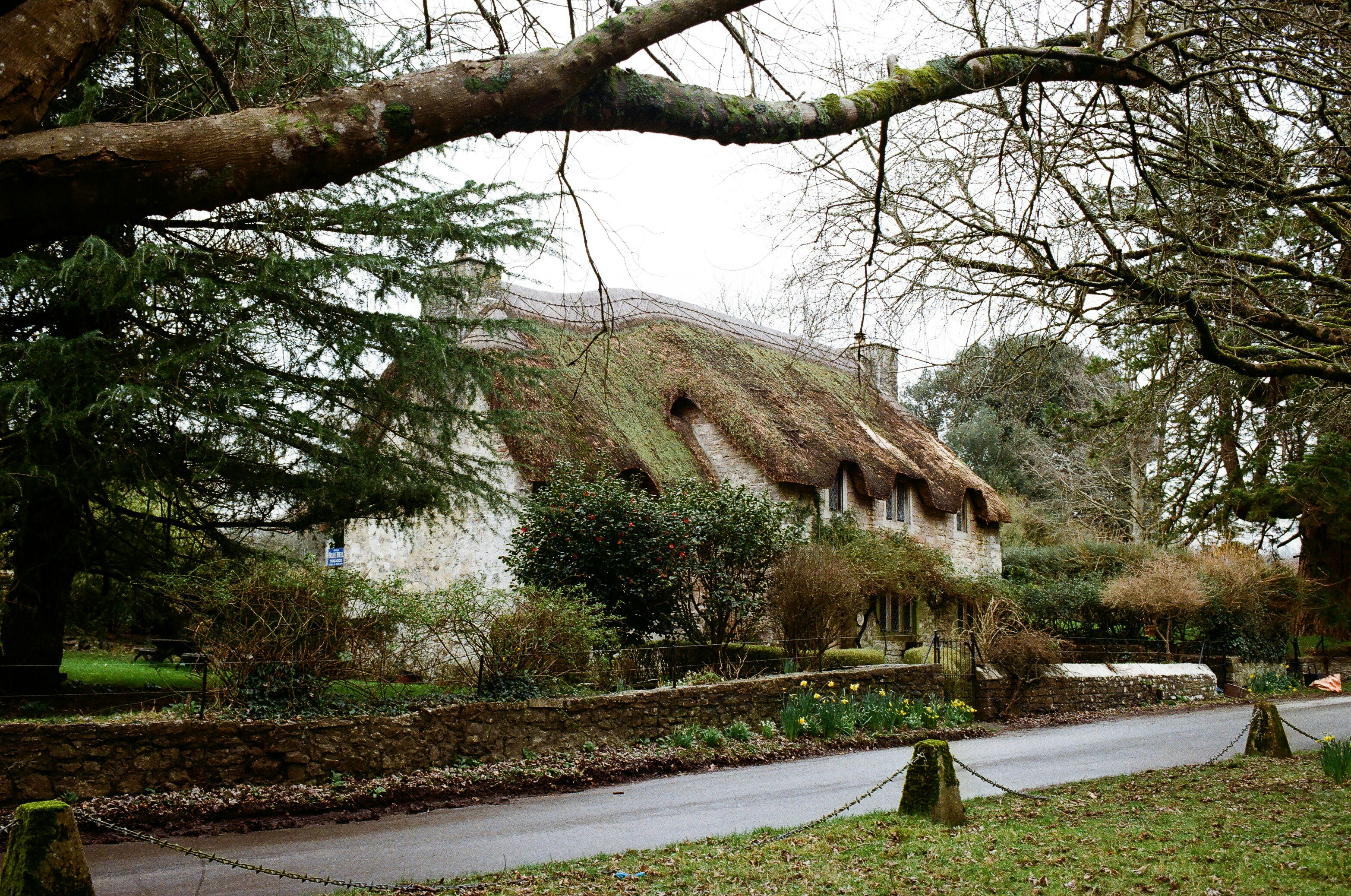 Photo by tanyabarrow