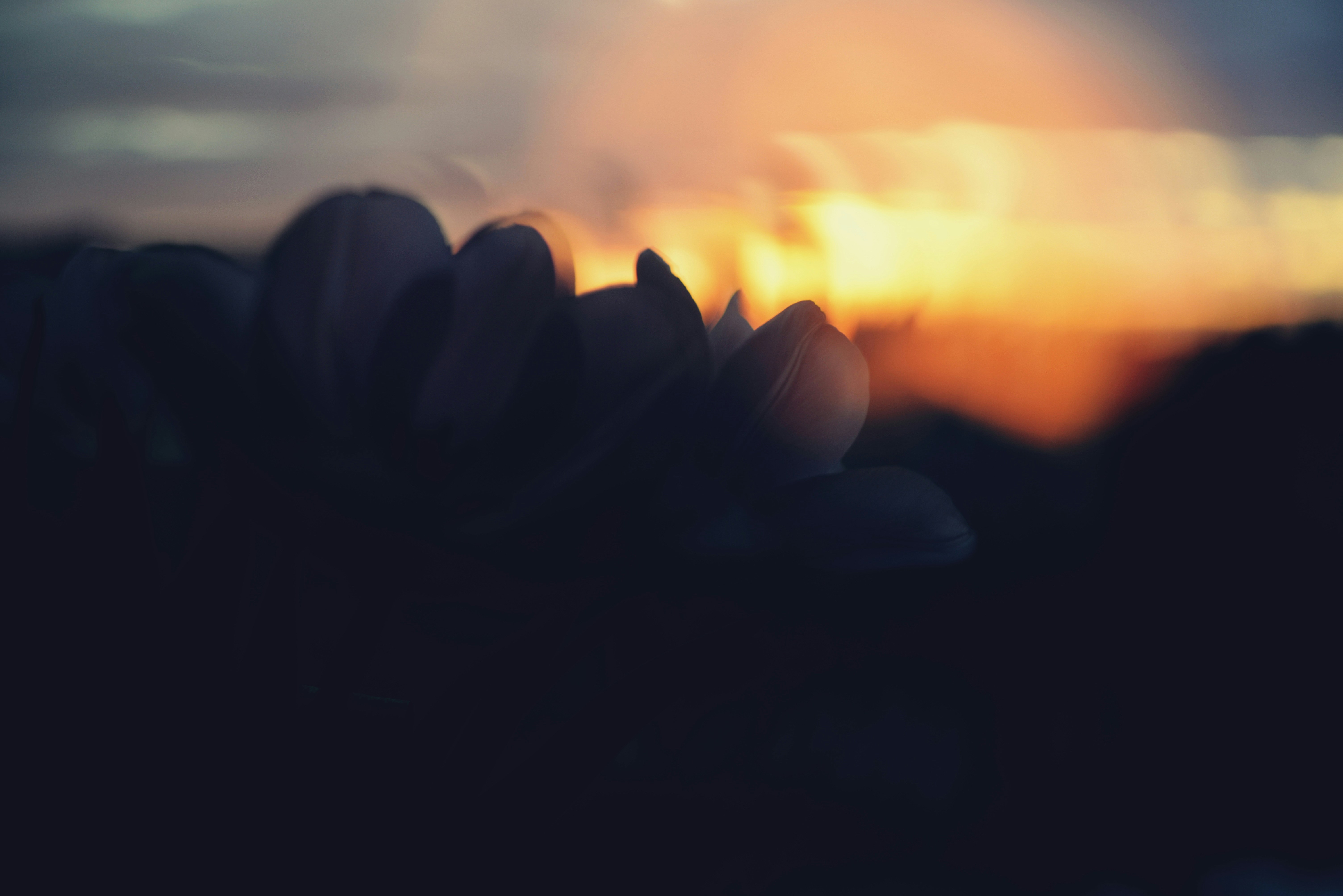 Photo by cherstve_pechivo