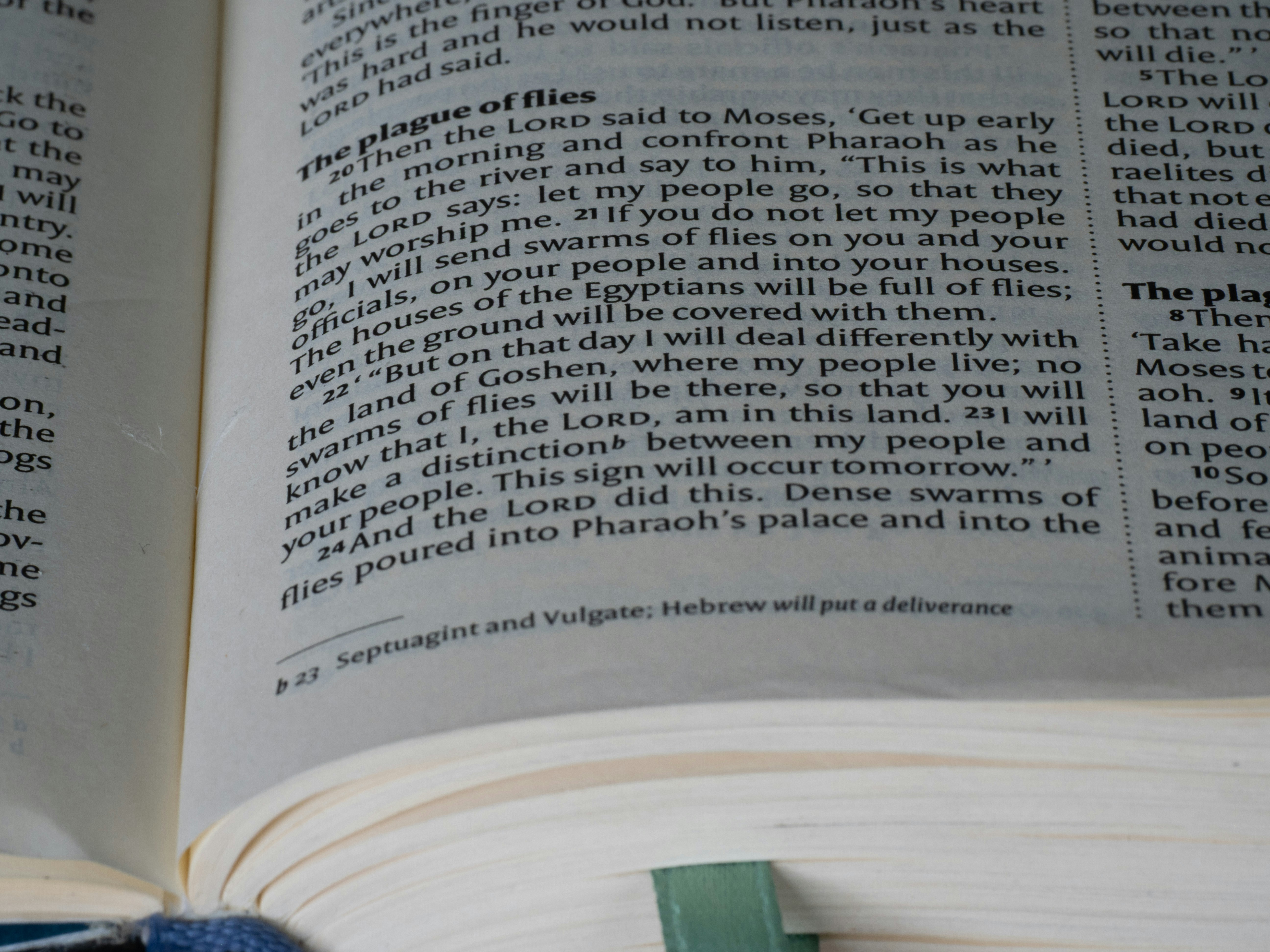 Close-up of an open book with text visible.