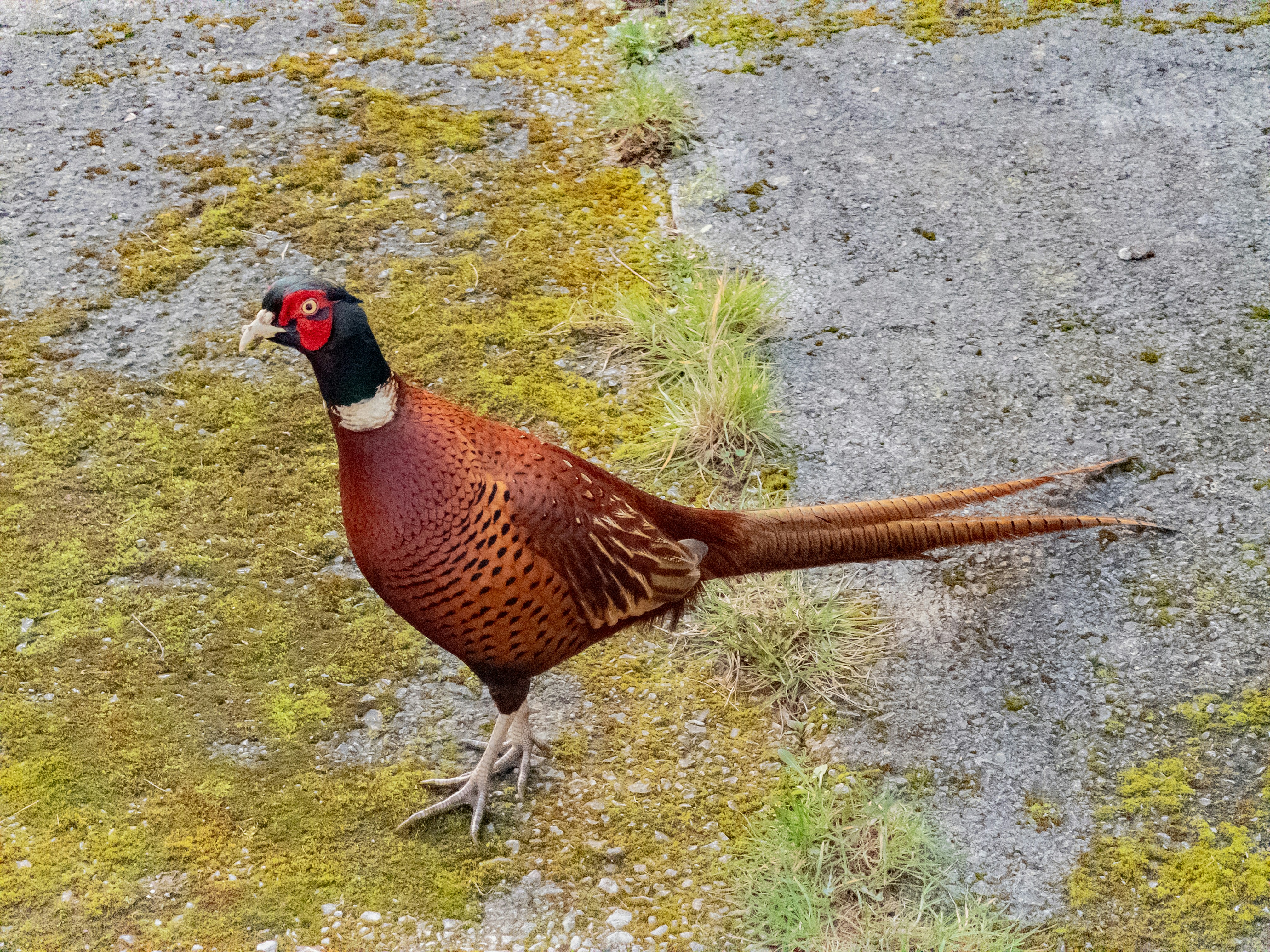 Photo by brett_jordan