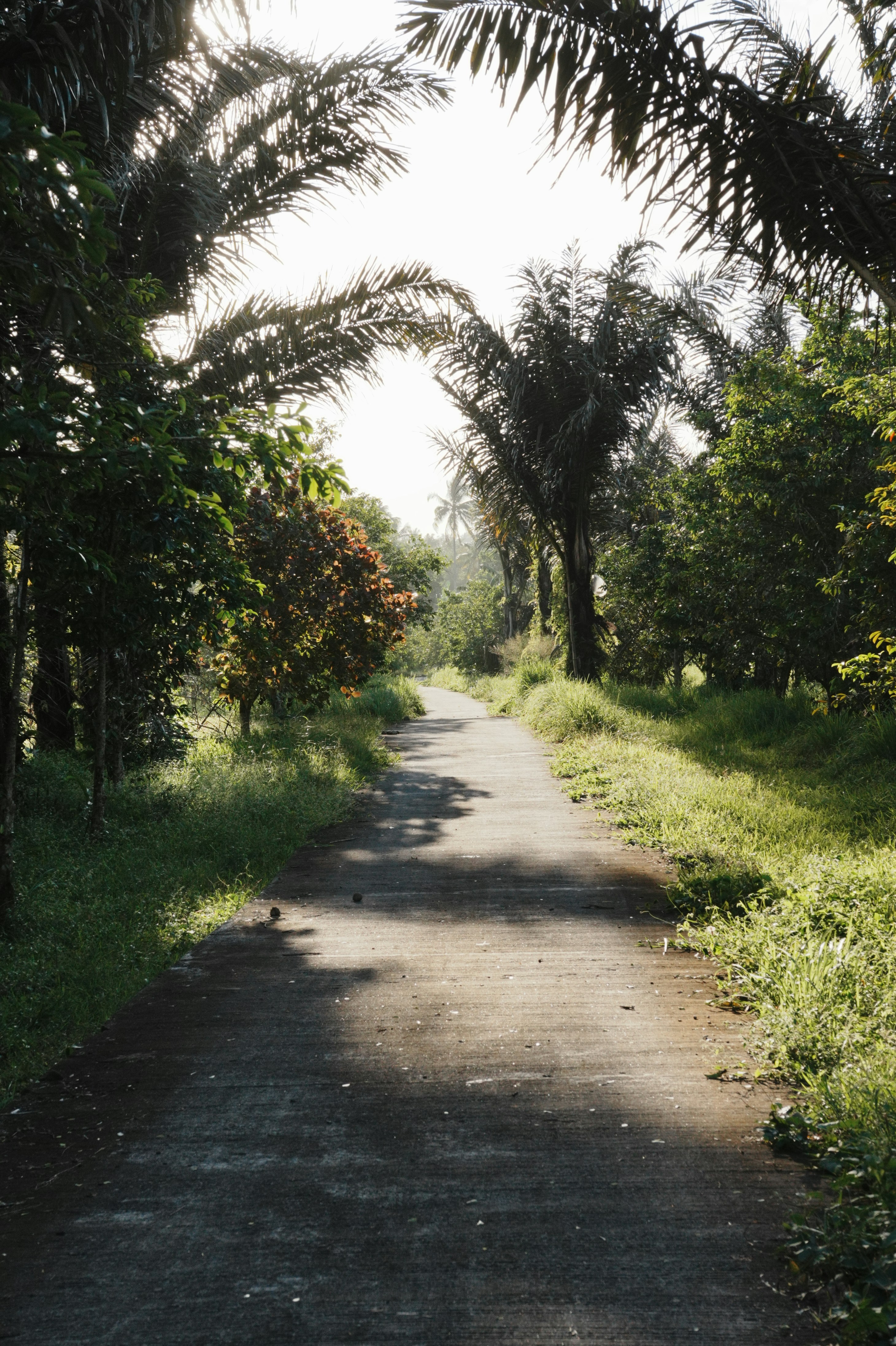 Photo by sierraxcarlo