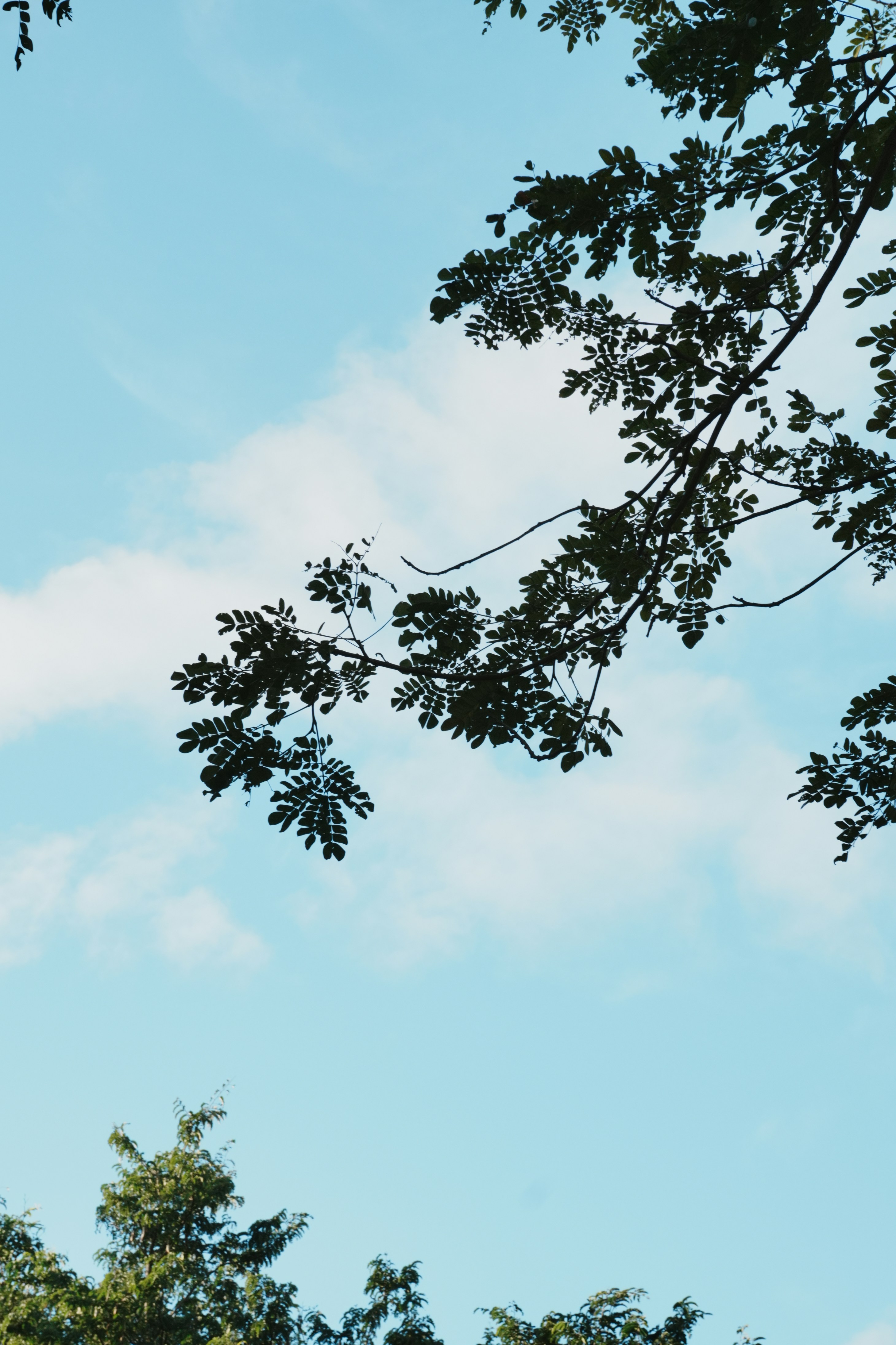 Photo by sierraxcarlo