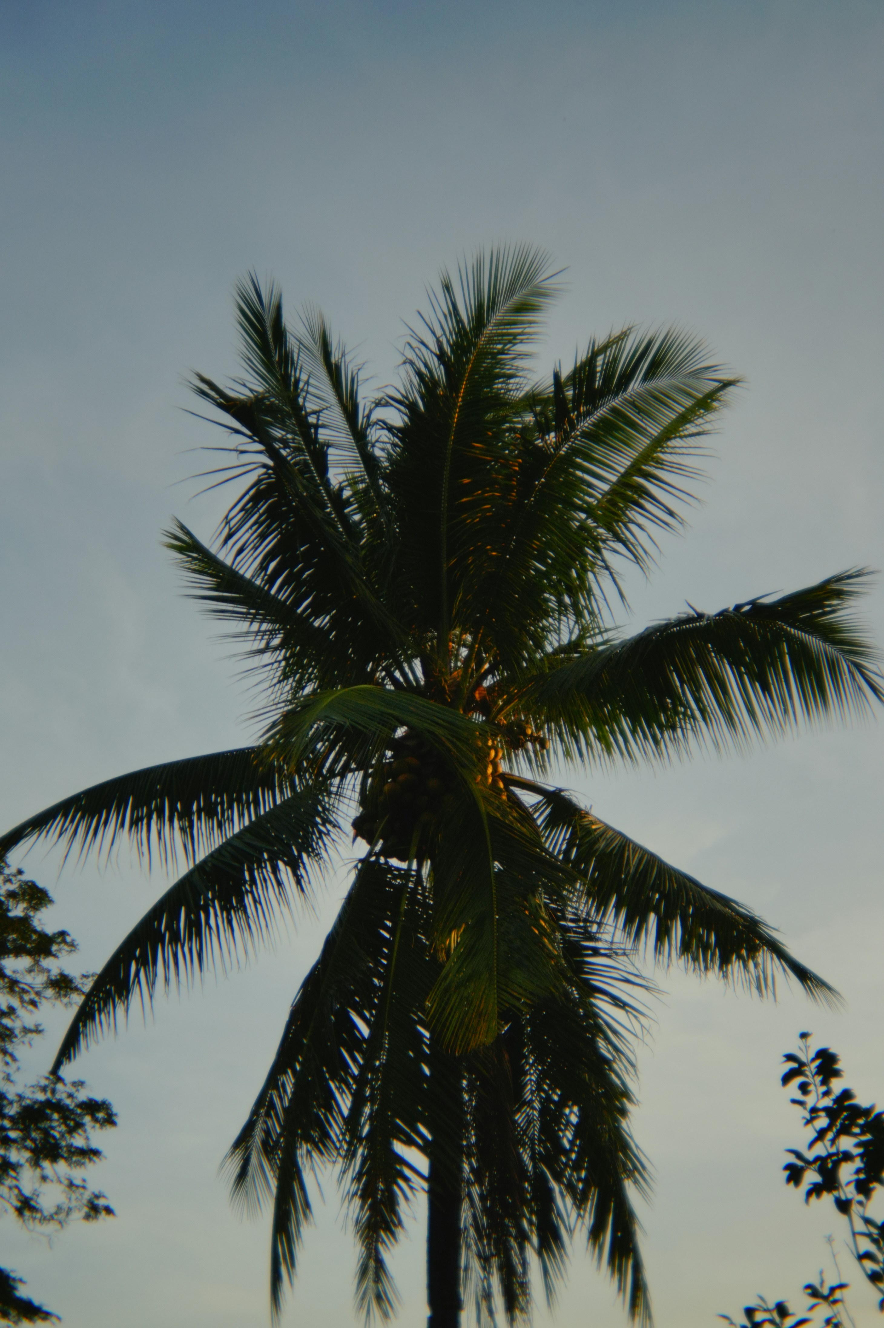 Photo by sierraxcarlo