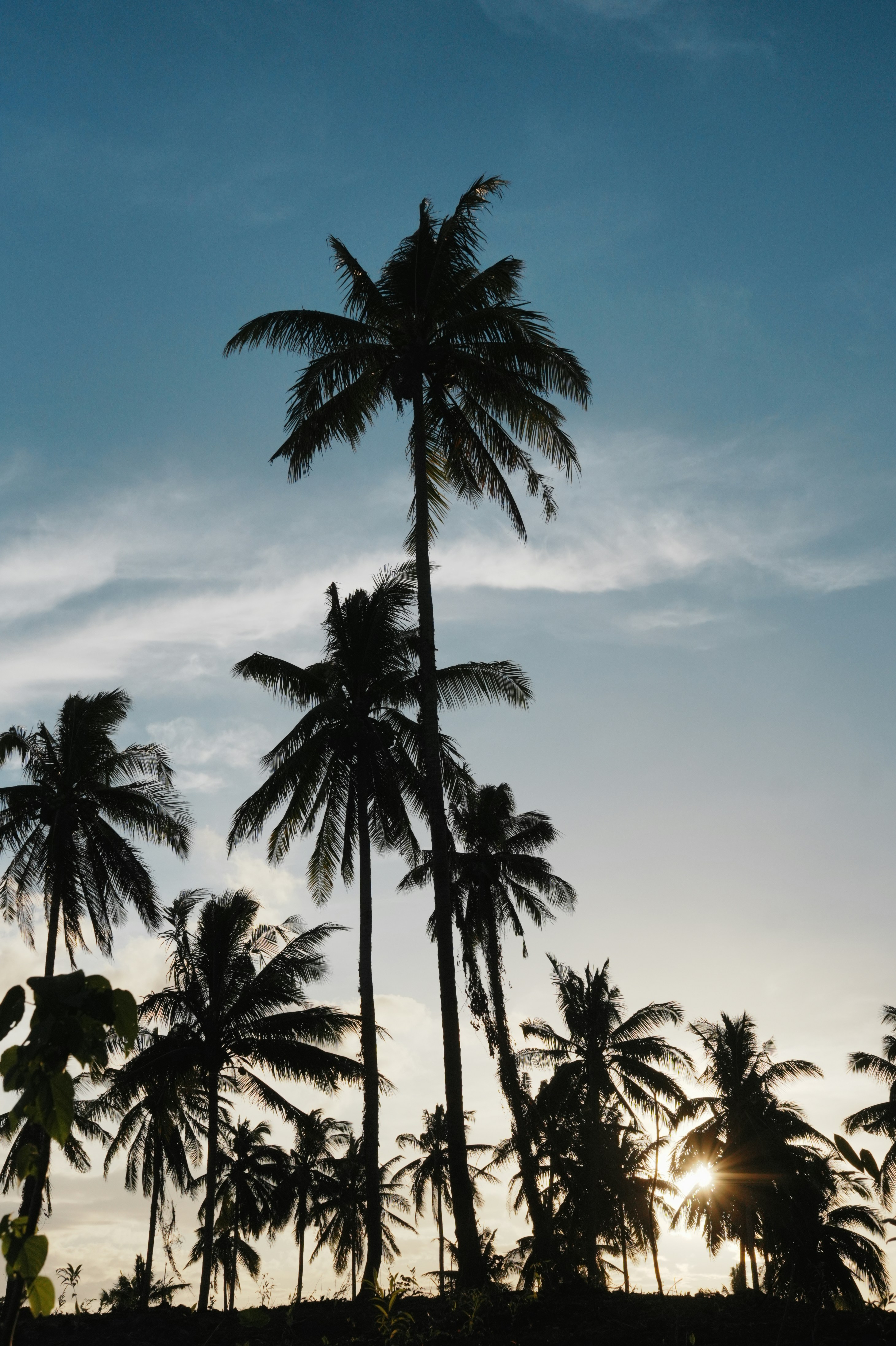 Photo by sierraxcarlo