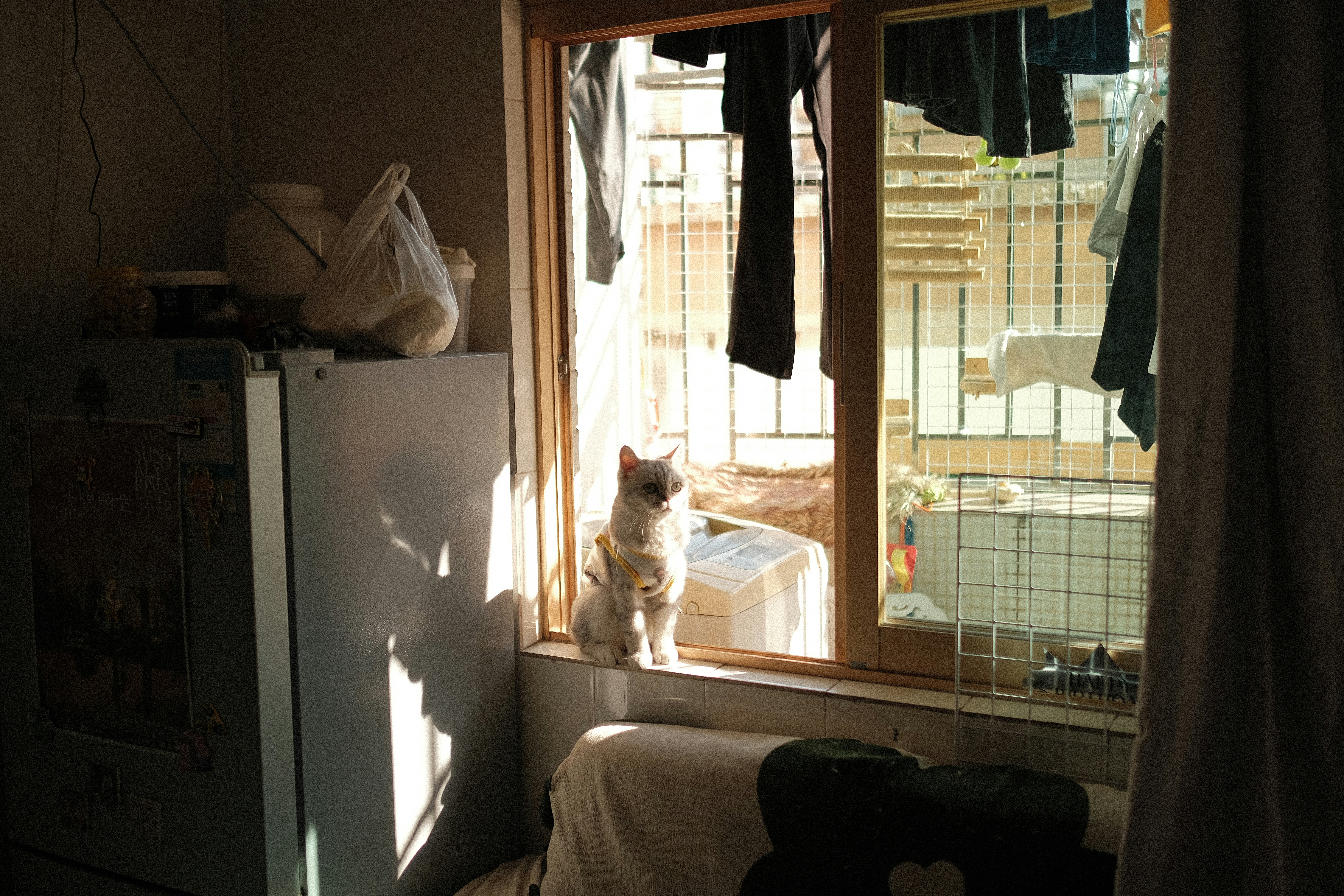 직접 해보고 검증된 집에서 할 수 있는 일 추천