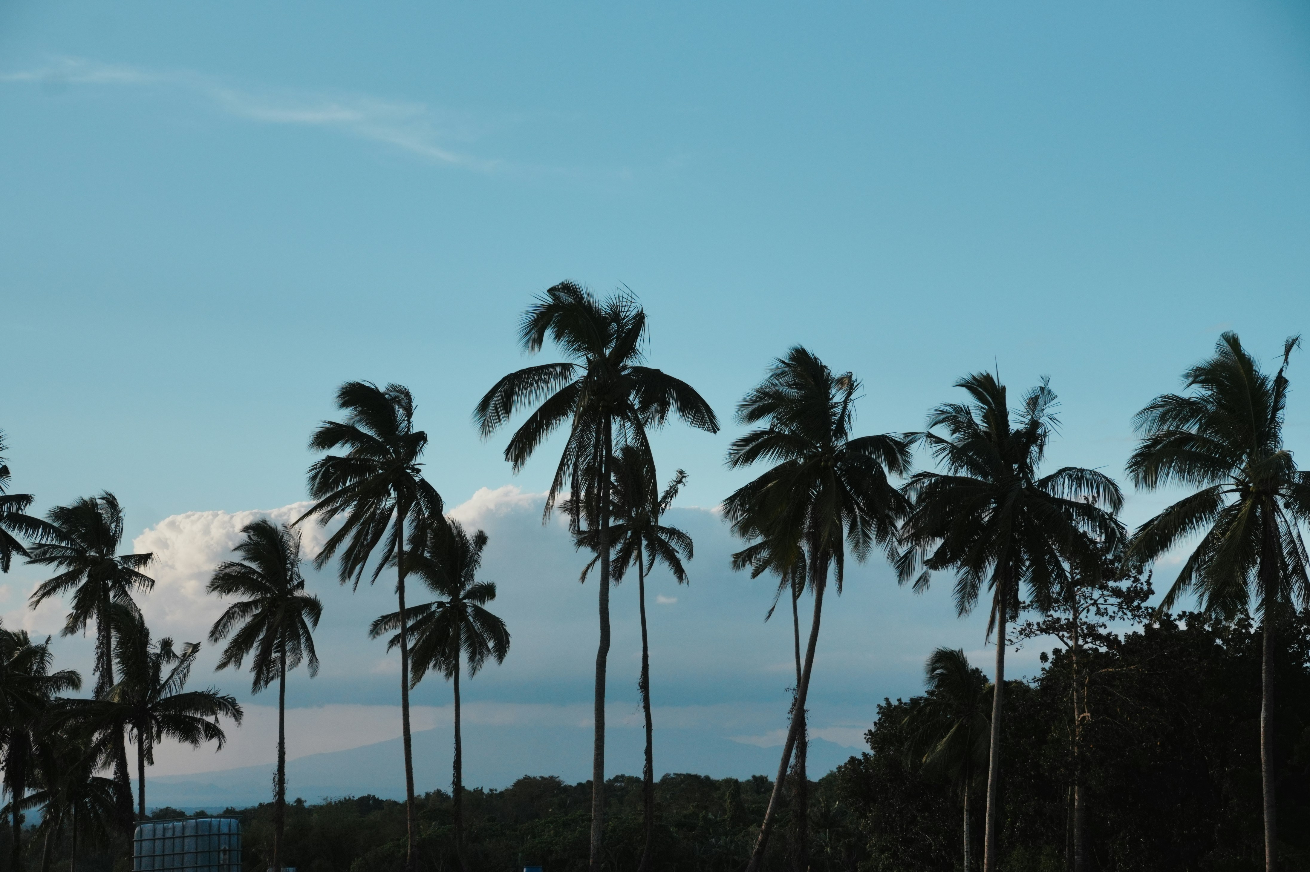 Photo by sierraxcarlo