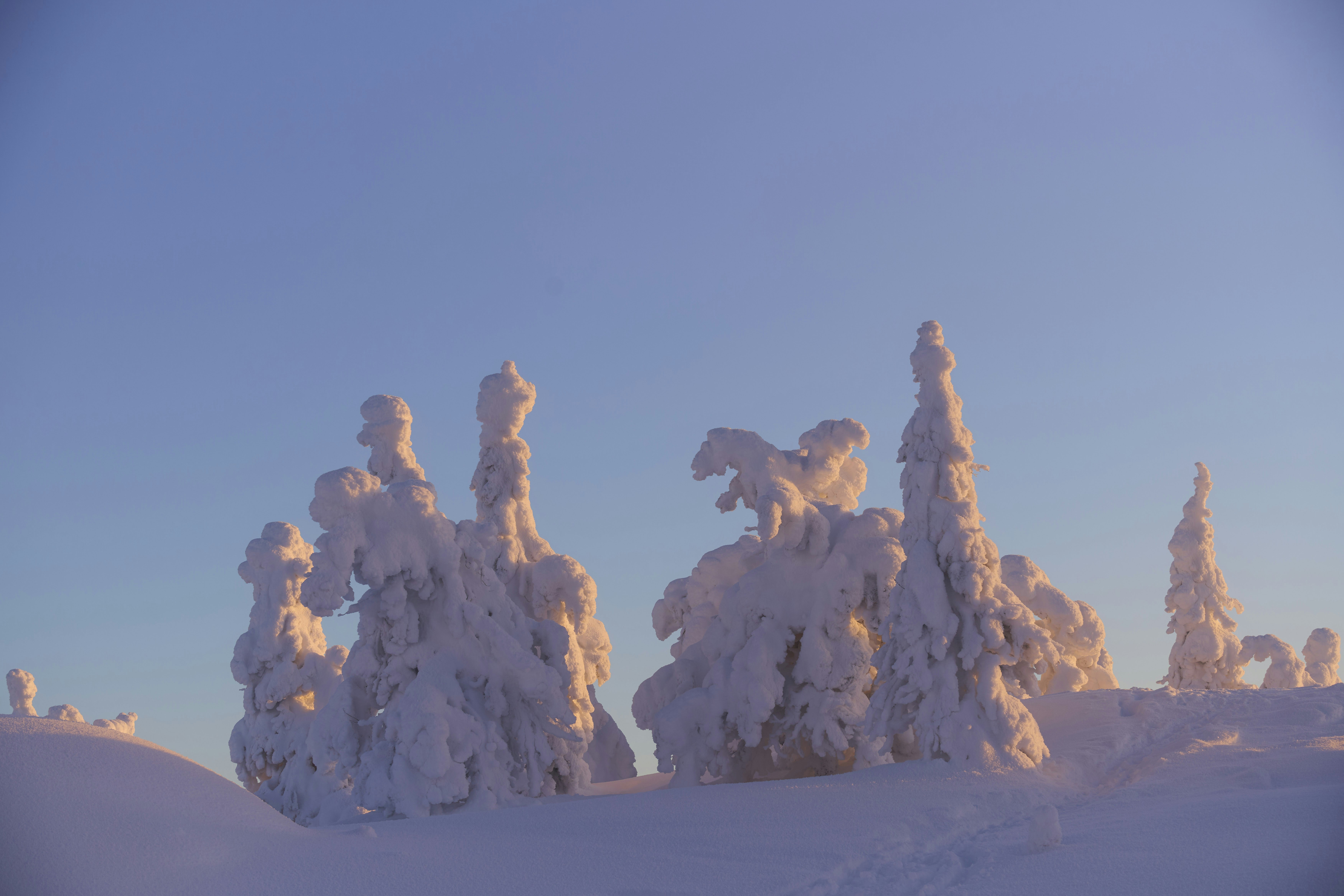 Photo by wolfgang_hasselmann