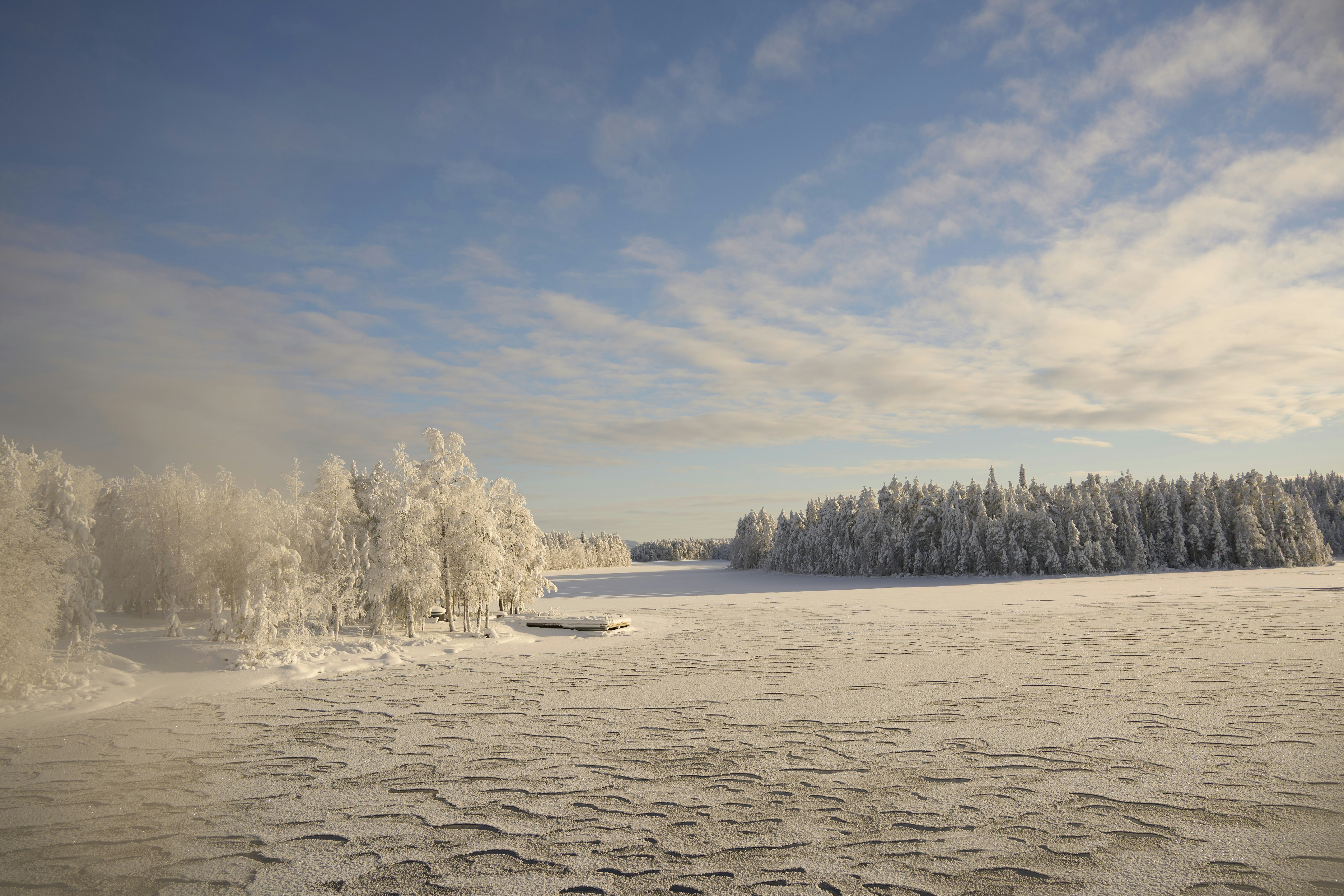 Photo by wolfgang_hasselmann