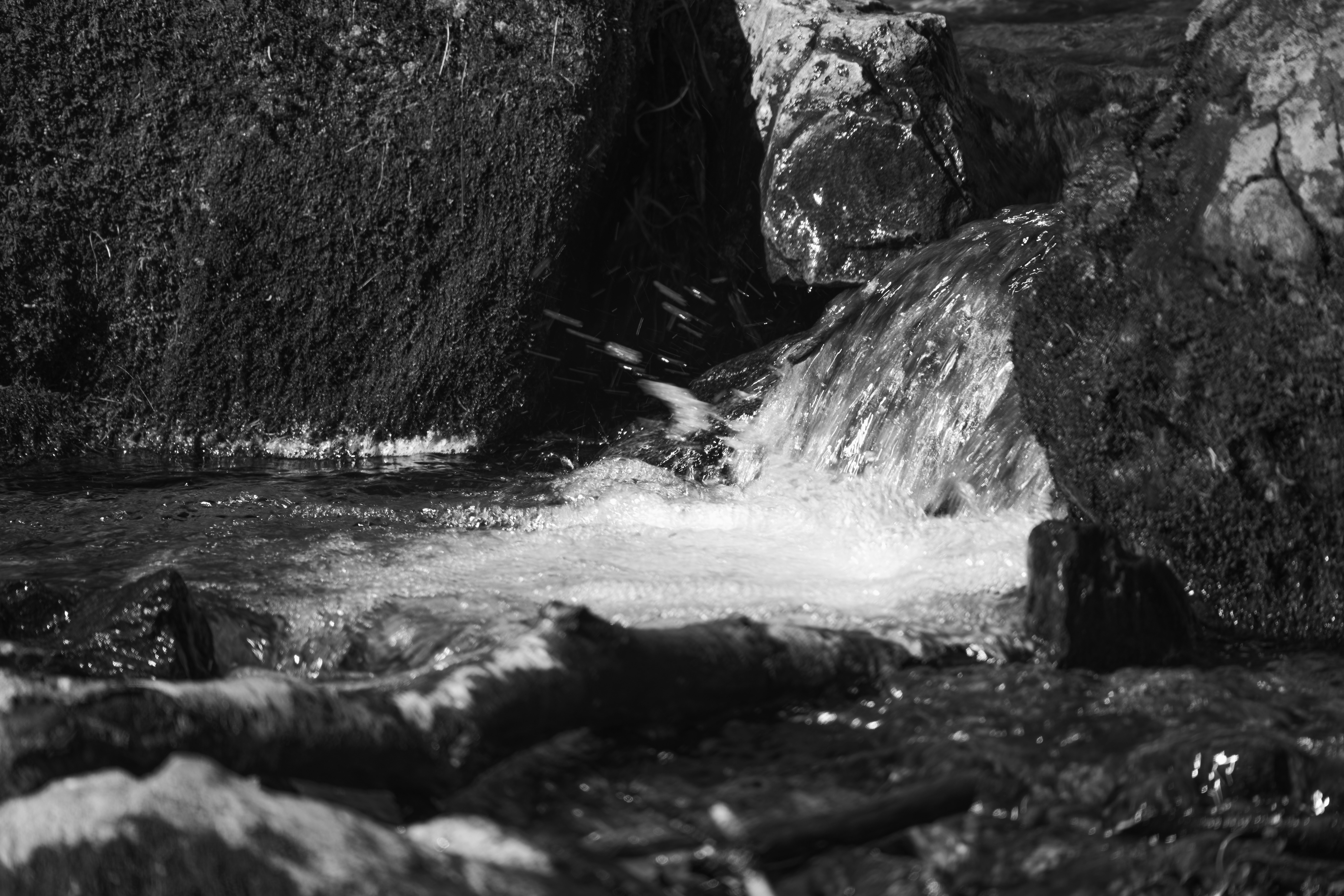 Photo by wolfgang_hasselmann