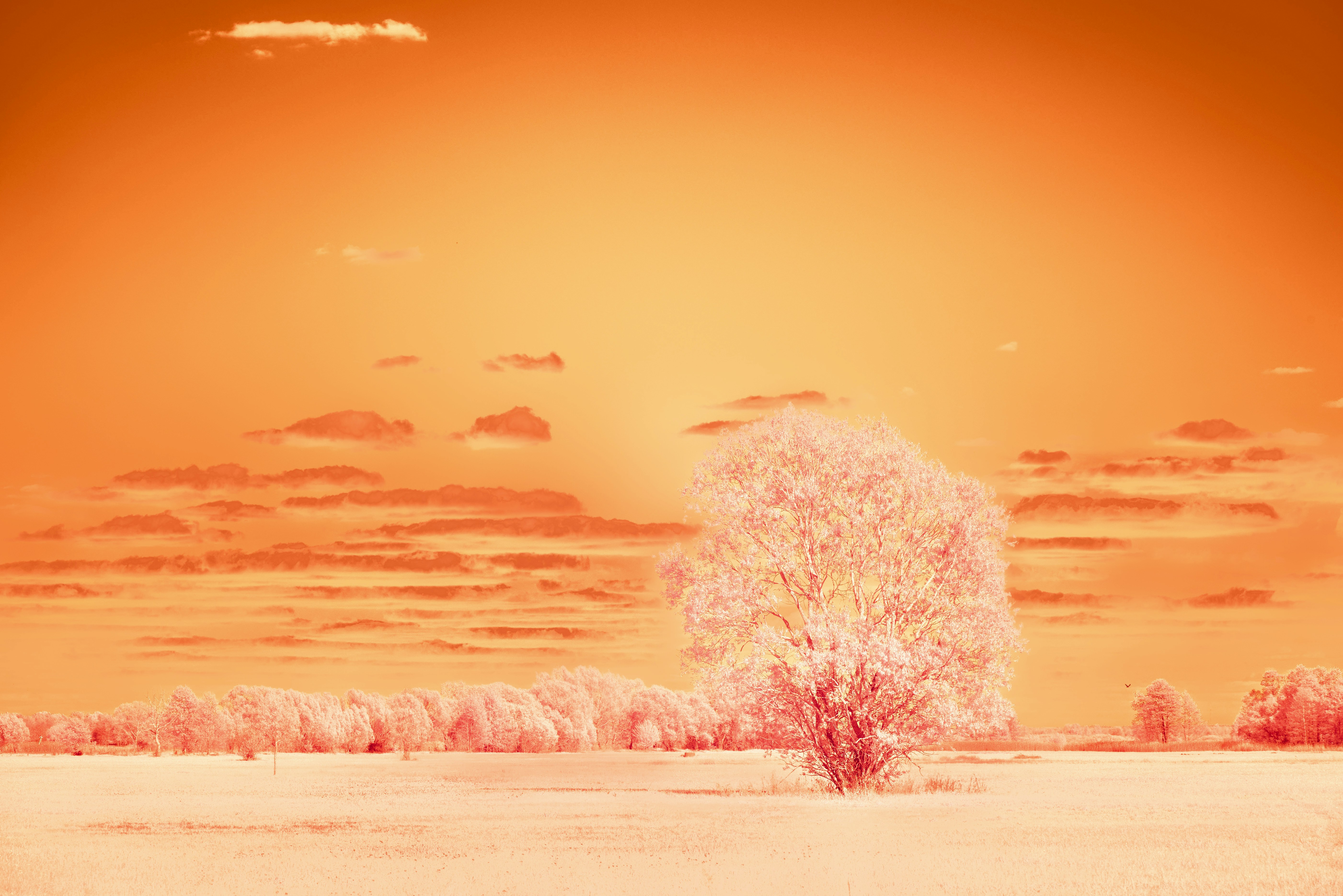 Featured image of post claude-code-templates