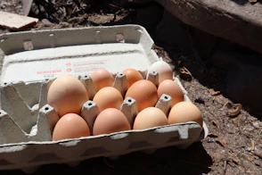 A carton of fresh brown eggs sits on the ground.