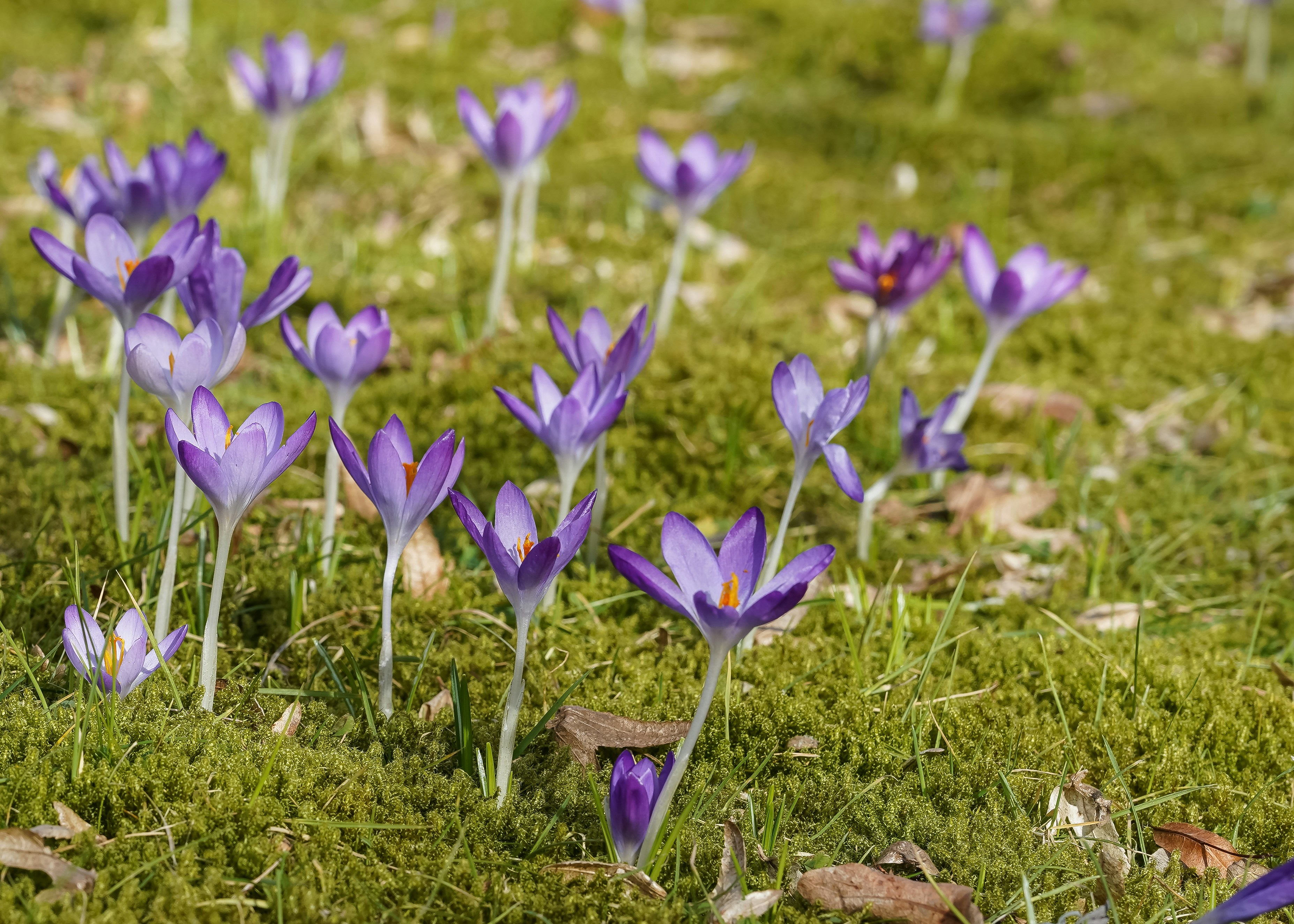 Photo by hamburgmeinefreundin