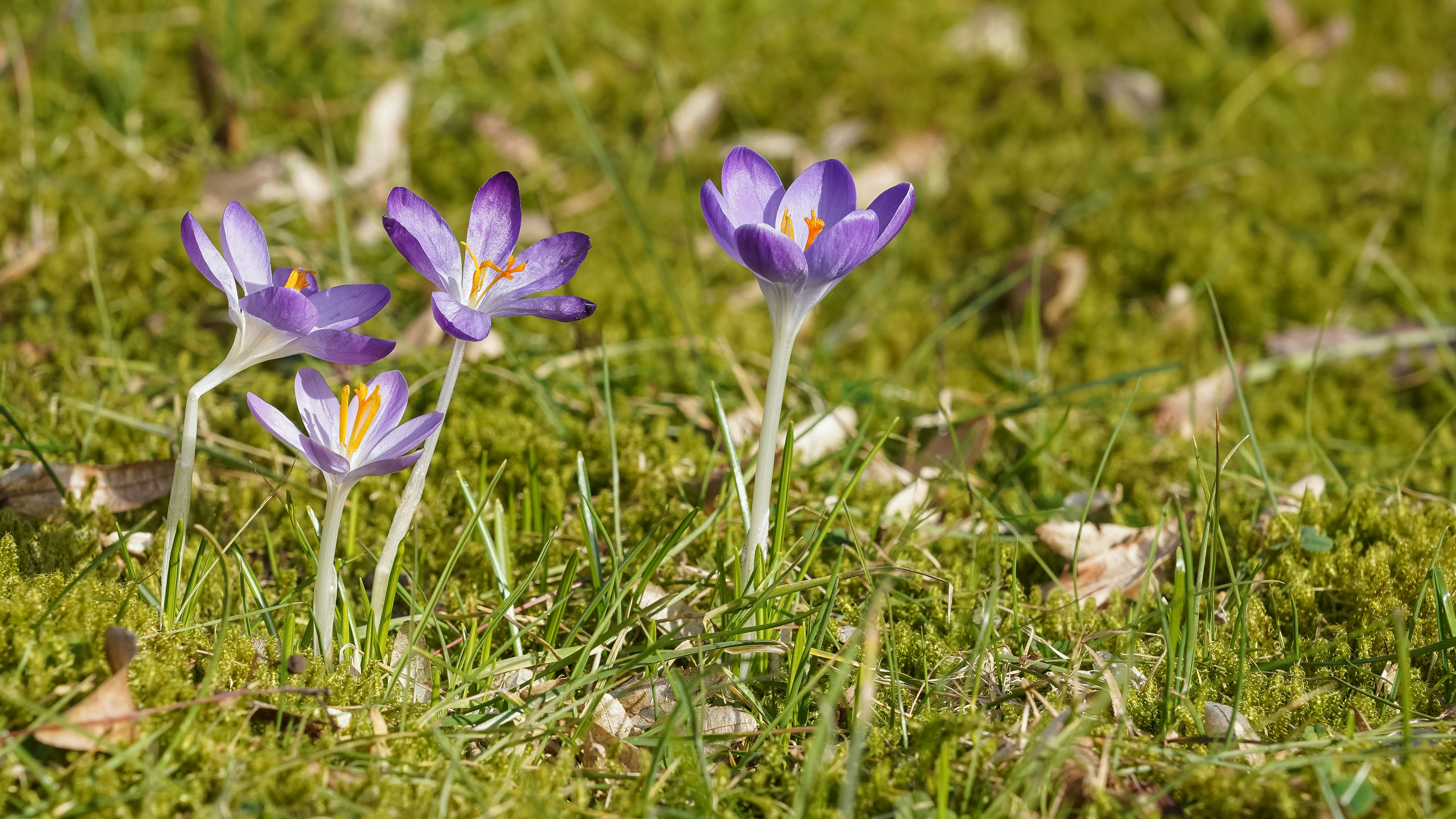 Photo by hamburgmeinefreundin