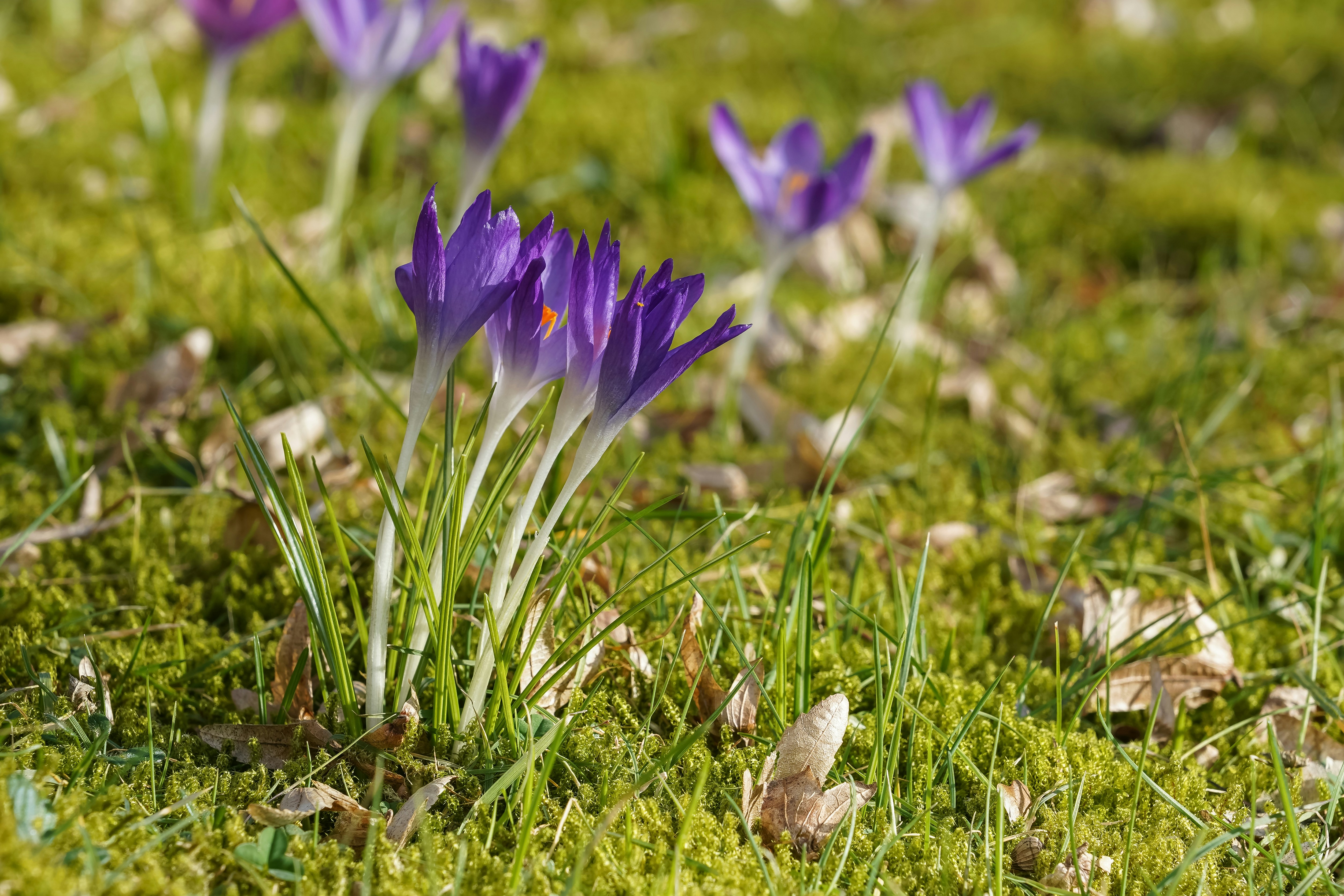 Photo by hamburgmeinefreundin