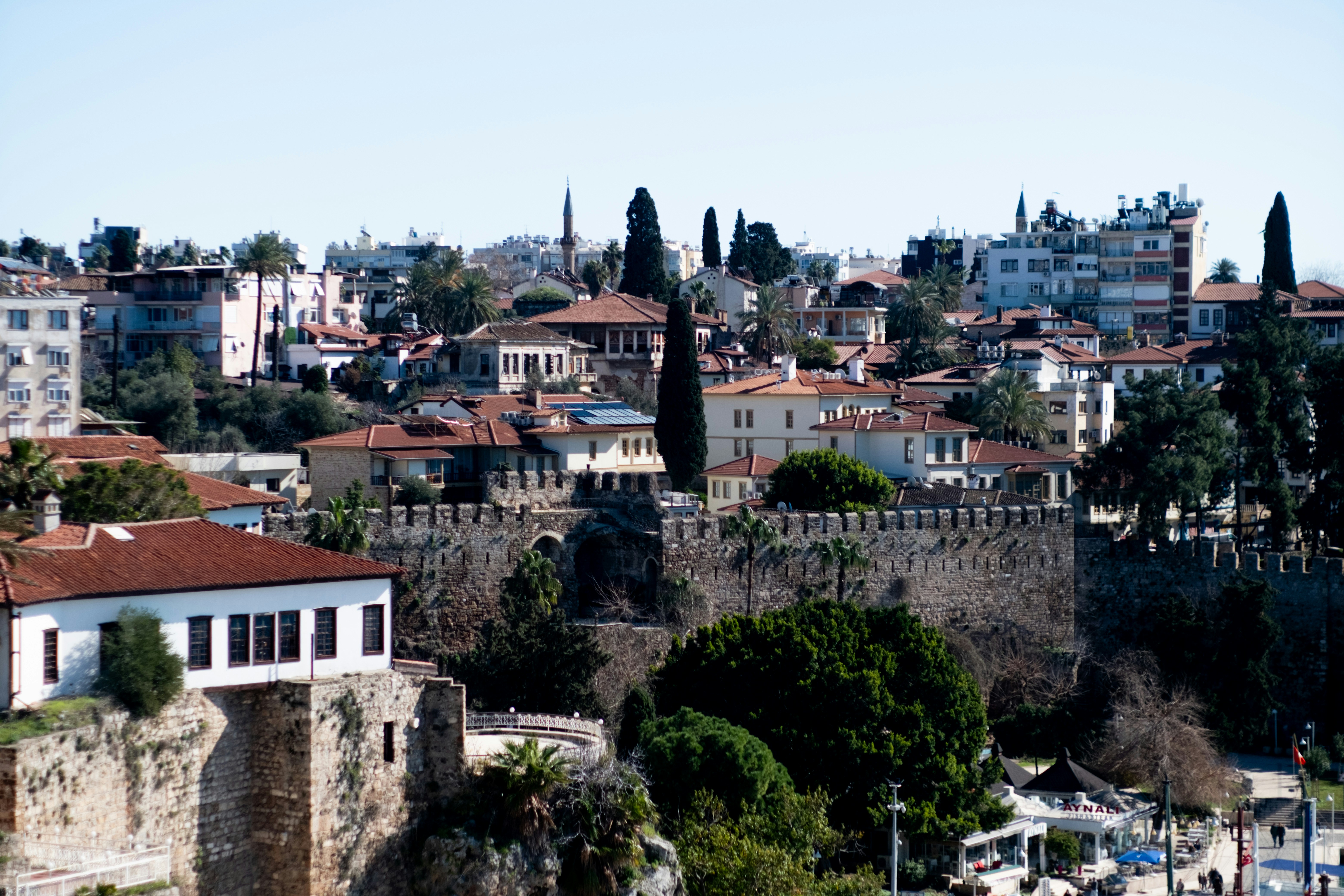 Photo by oldsoulframes