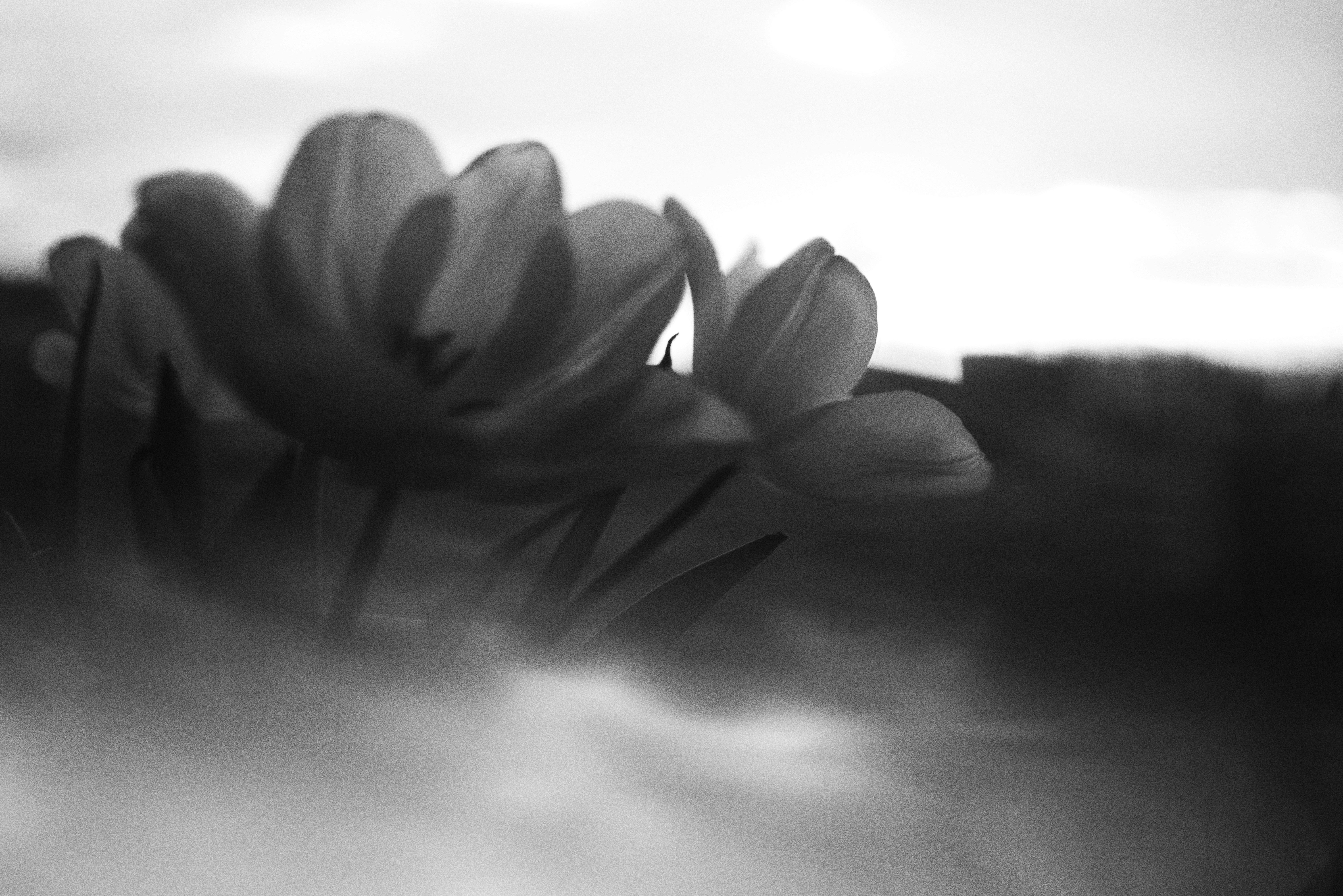 Photo by cherstve_pechivo