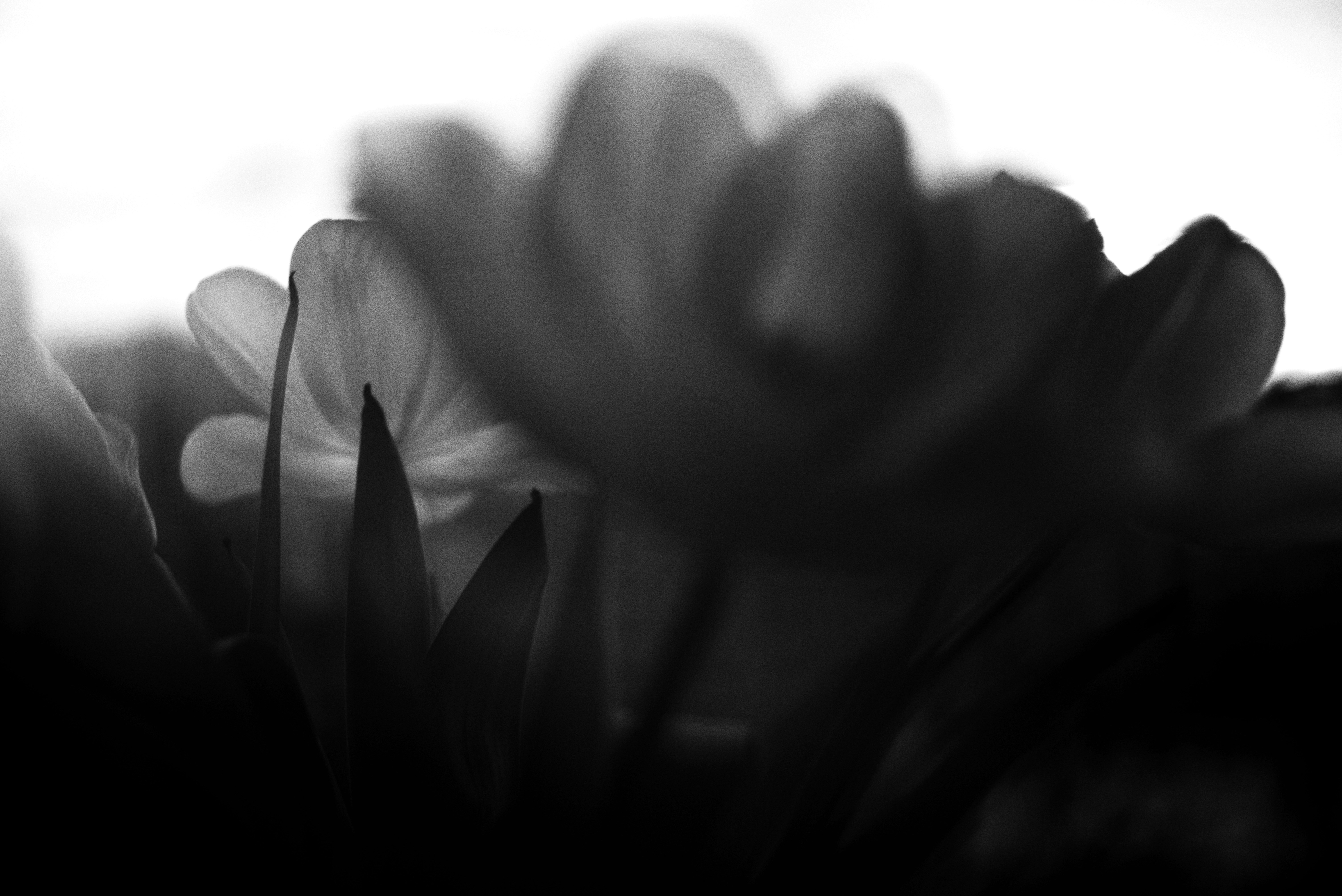 Photo by cherstve_pechivo