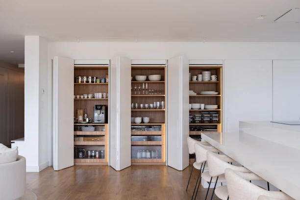 Modern kitchen pantry with organized shelves and appliances.