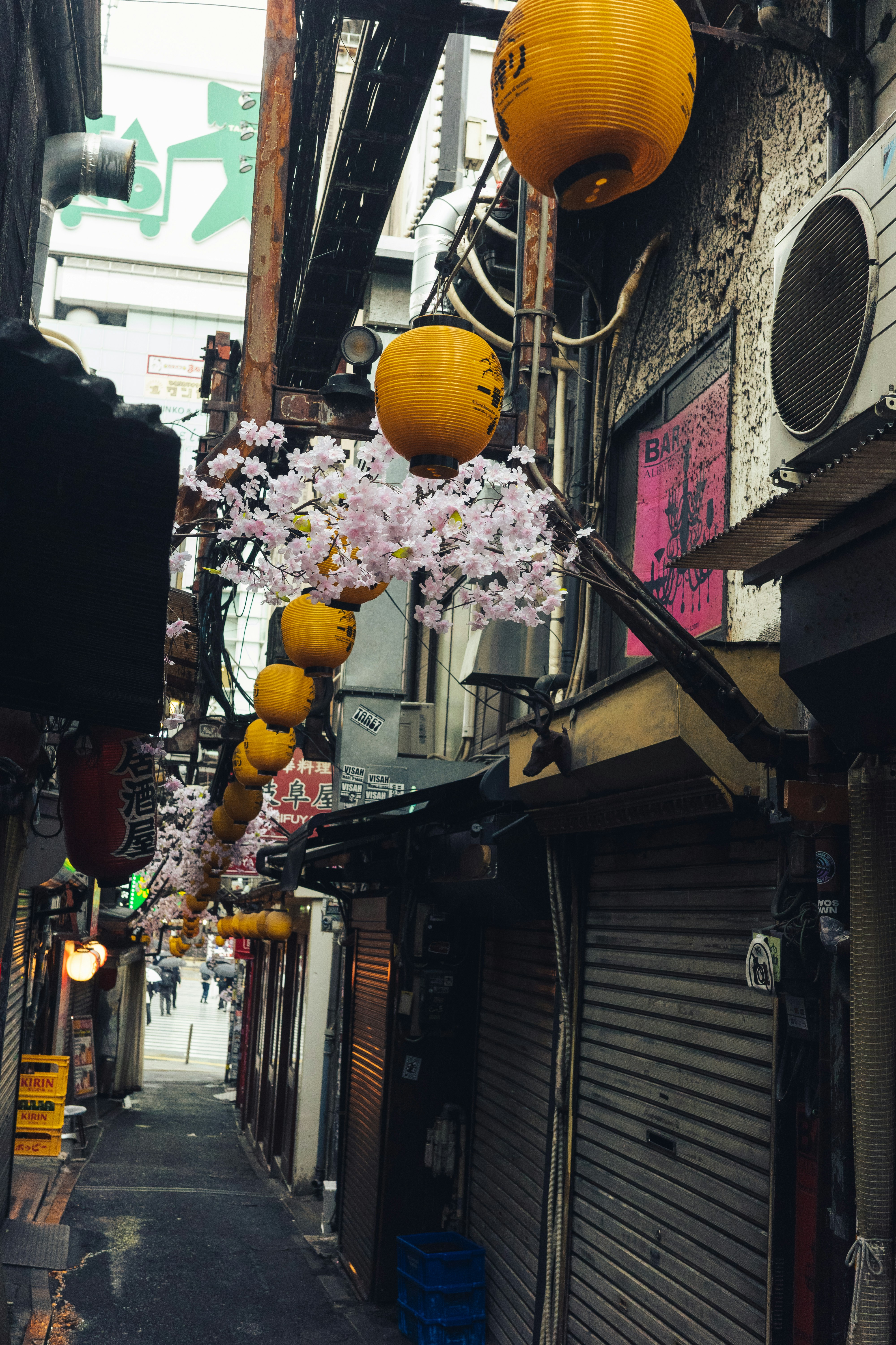 Yellow lanterns and cherry blossoms line narrow alley.