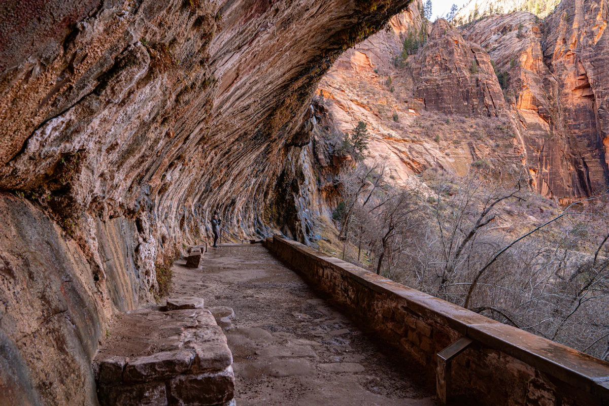 A narrow trail carved into a cliffside in Zion National Park