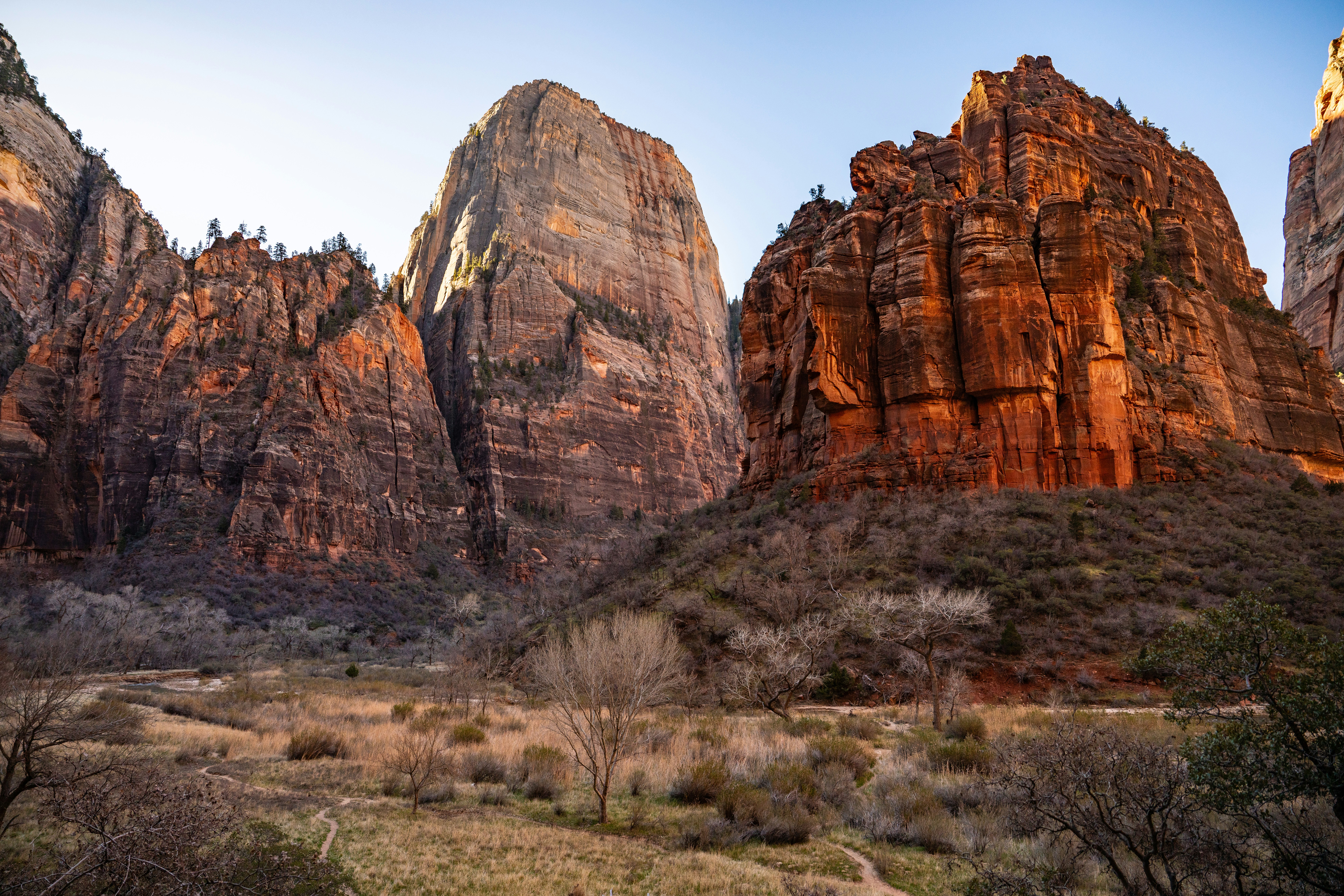 Photo by fortuitousfoto