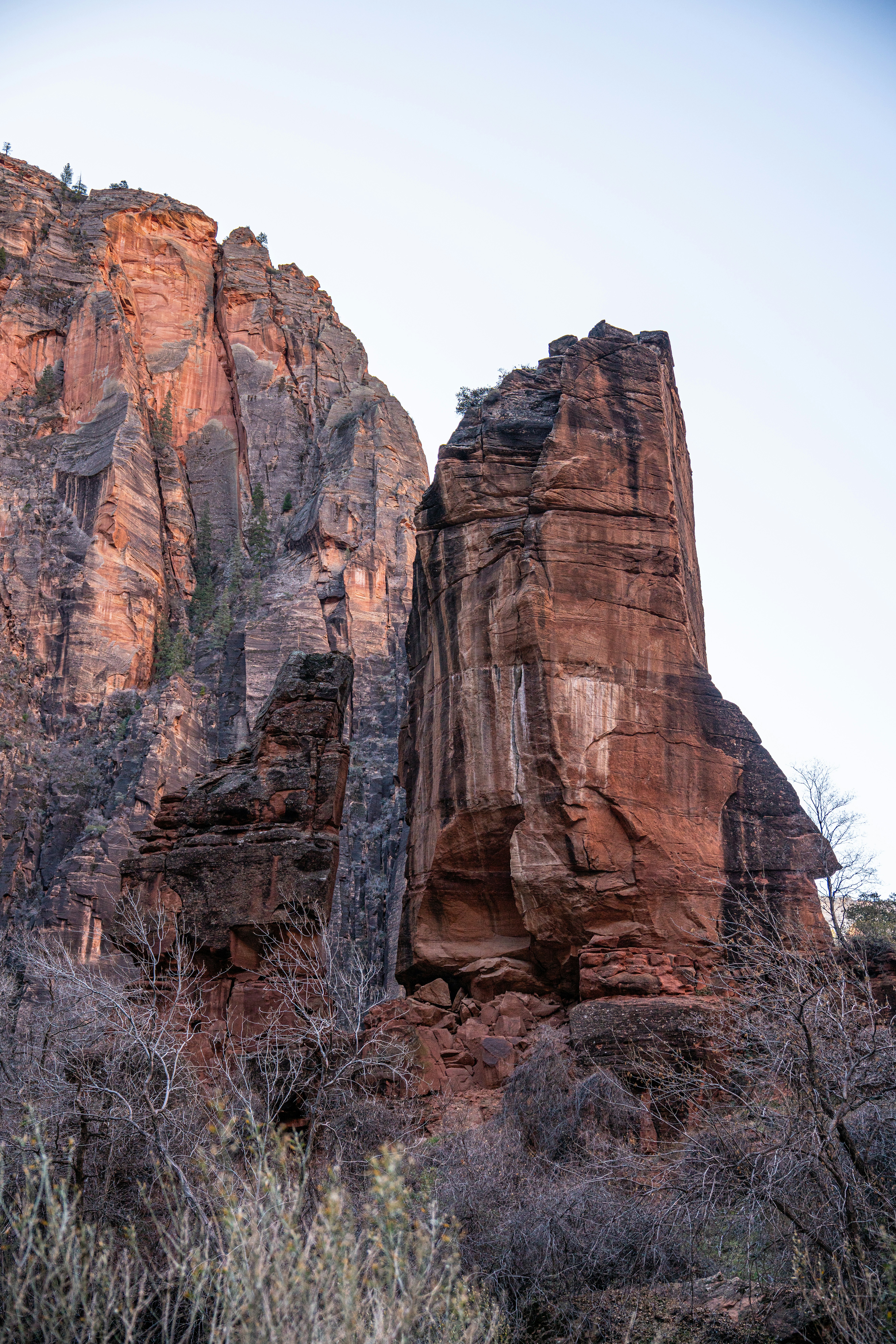 Photo by fortuitousfoto