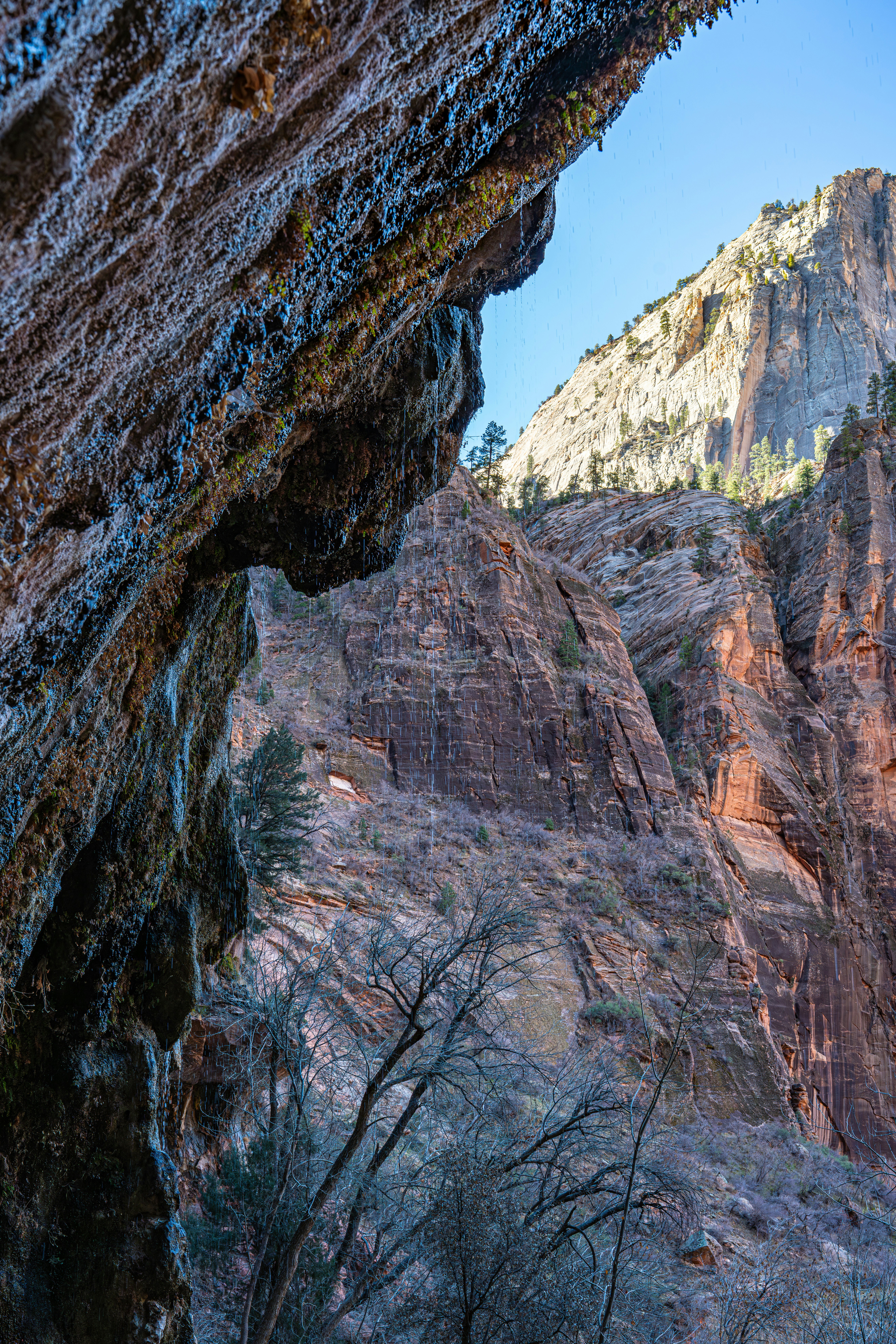 Photo by fortuitousfoto