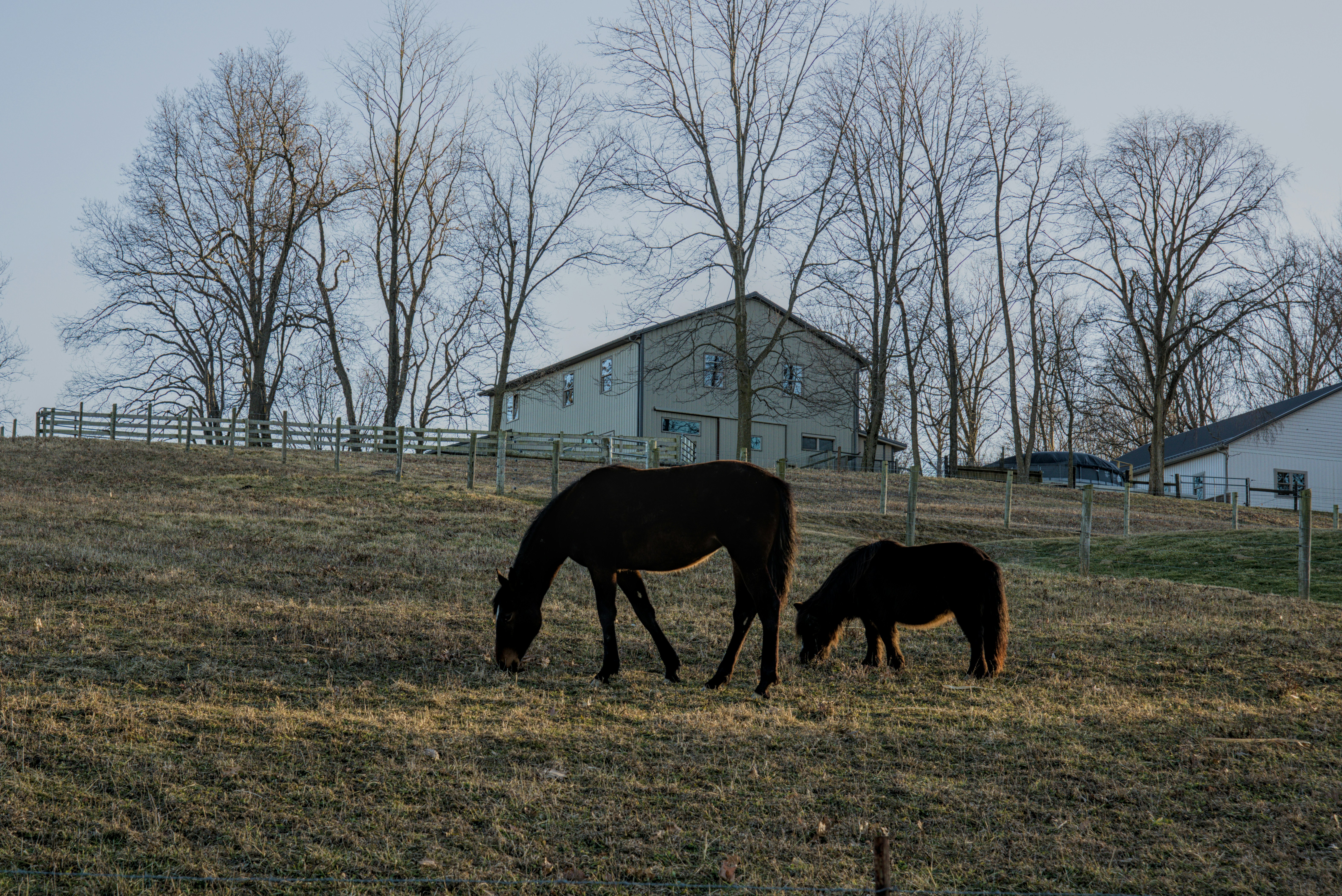 Photo by cbischoff