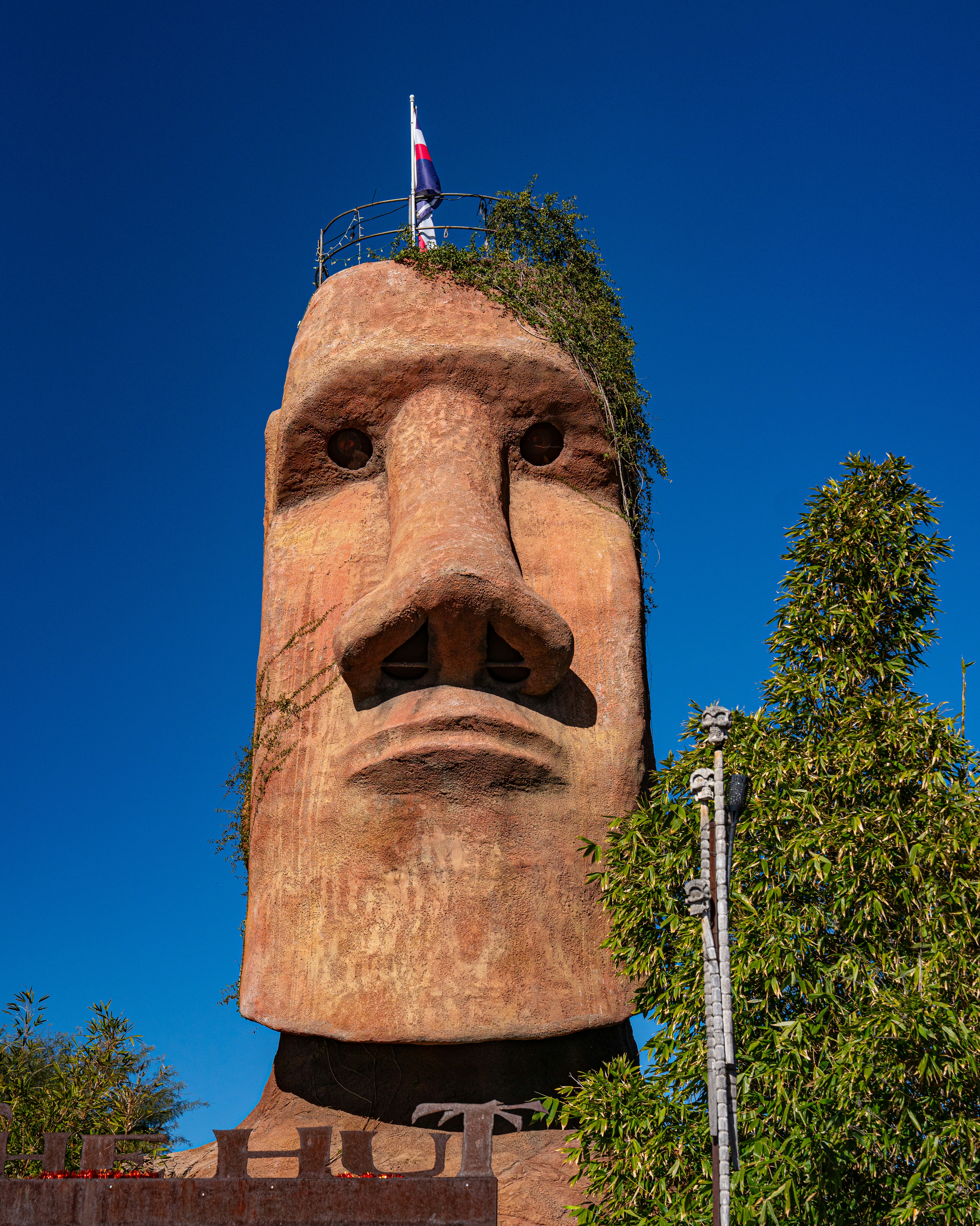 Photo by fortuitousfoto