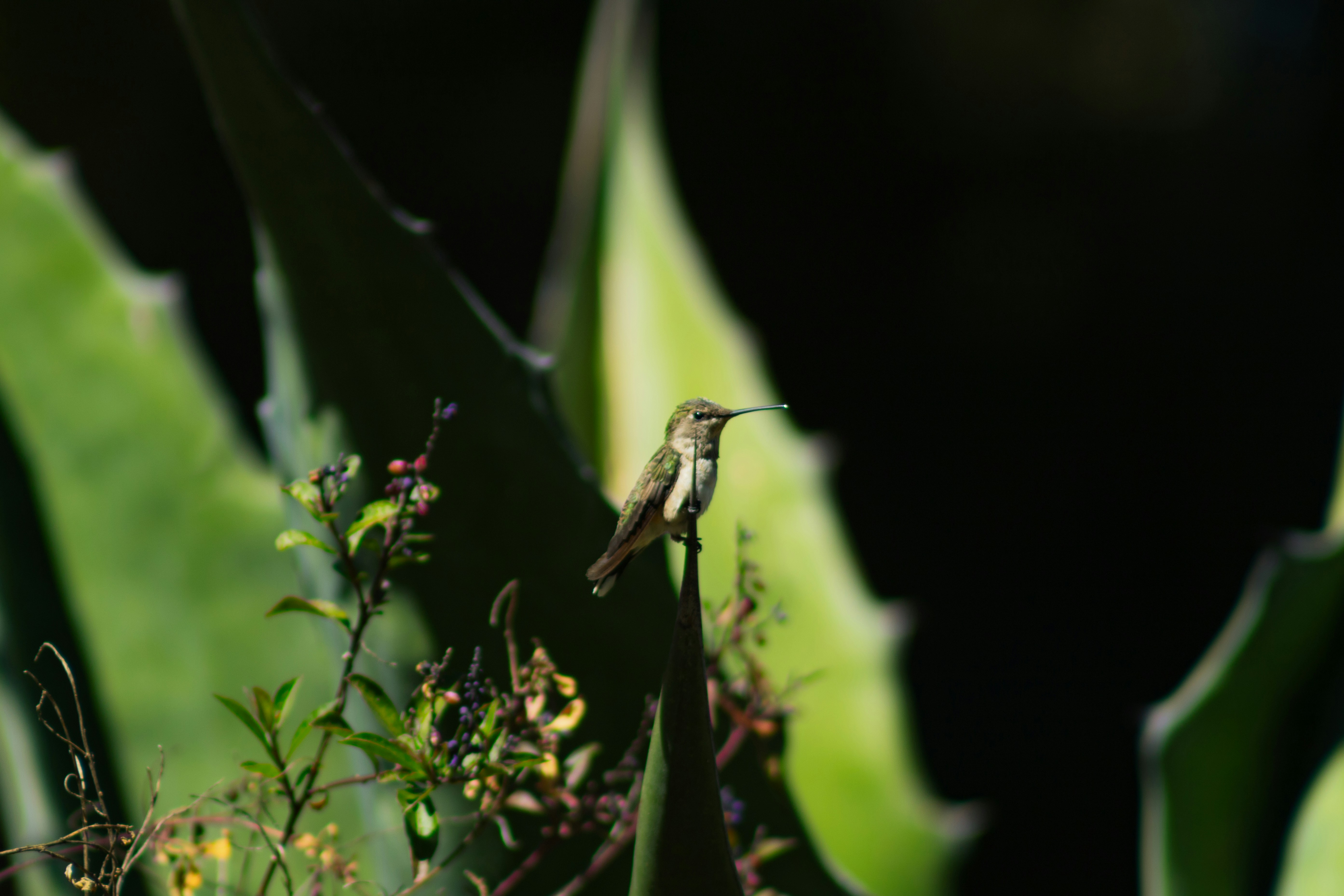 Photo by perla_olvera