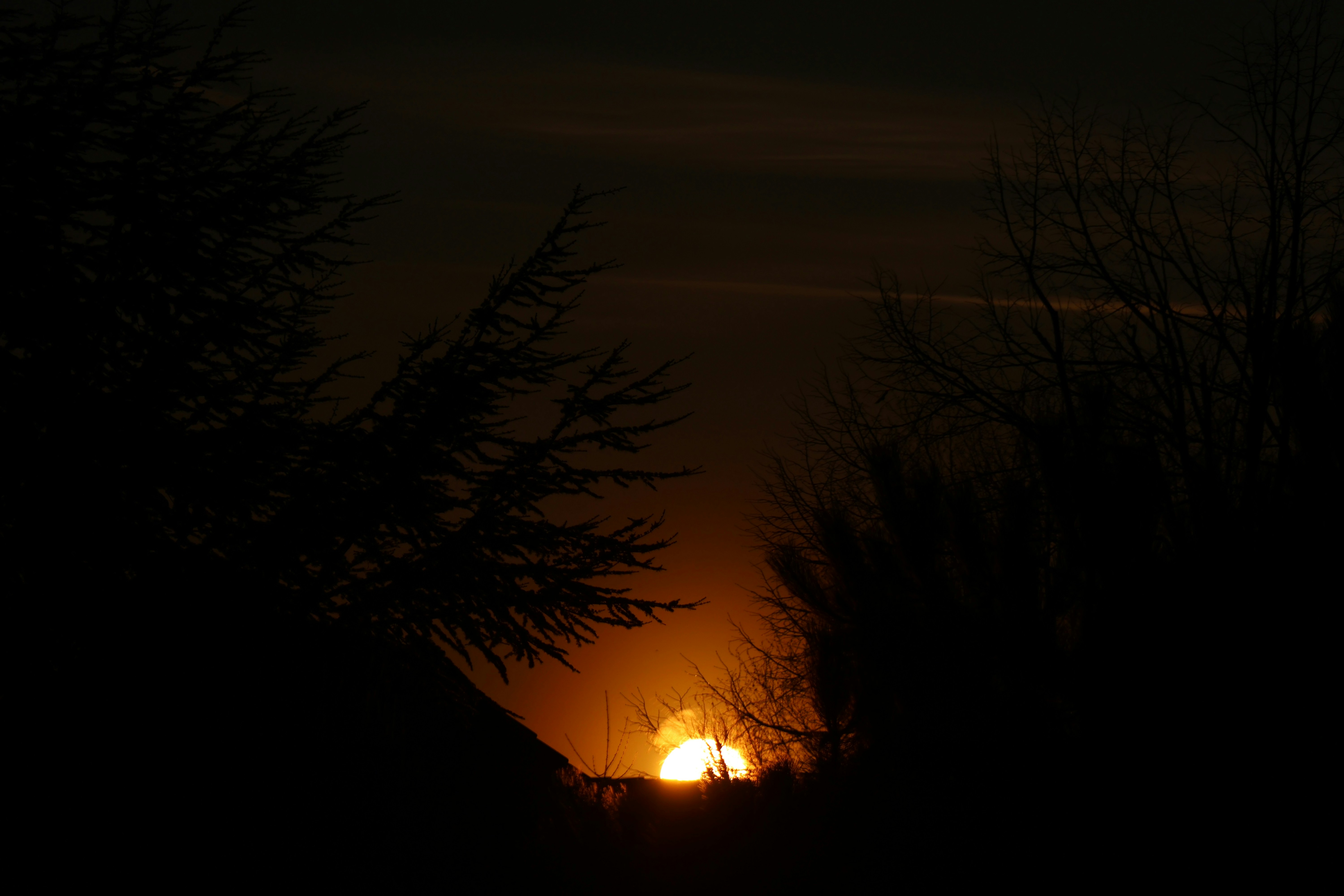 Photo by viktorfriesen