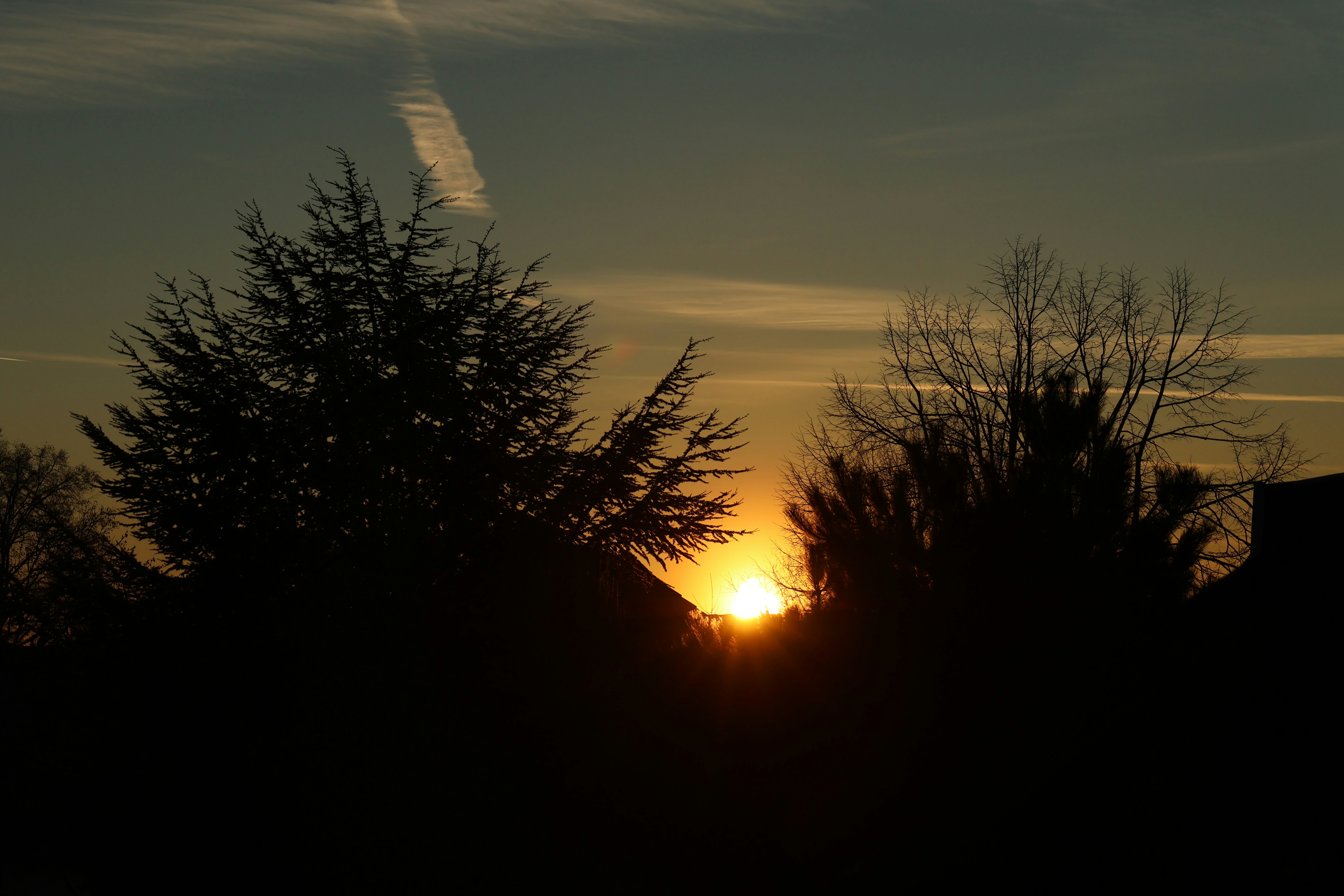 Photo by viktorfriesen