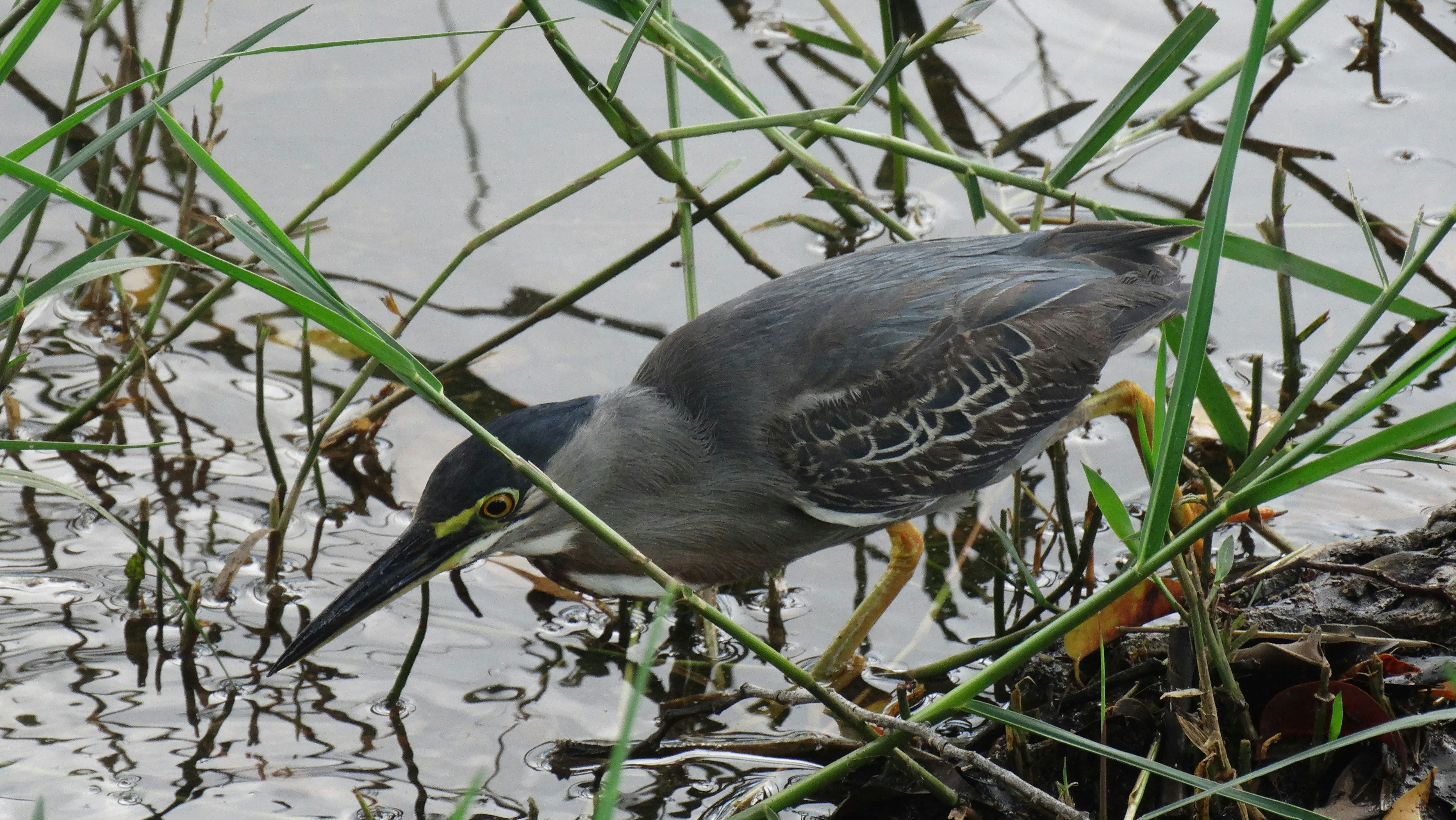 Photo by erick_martins