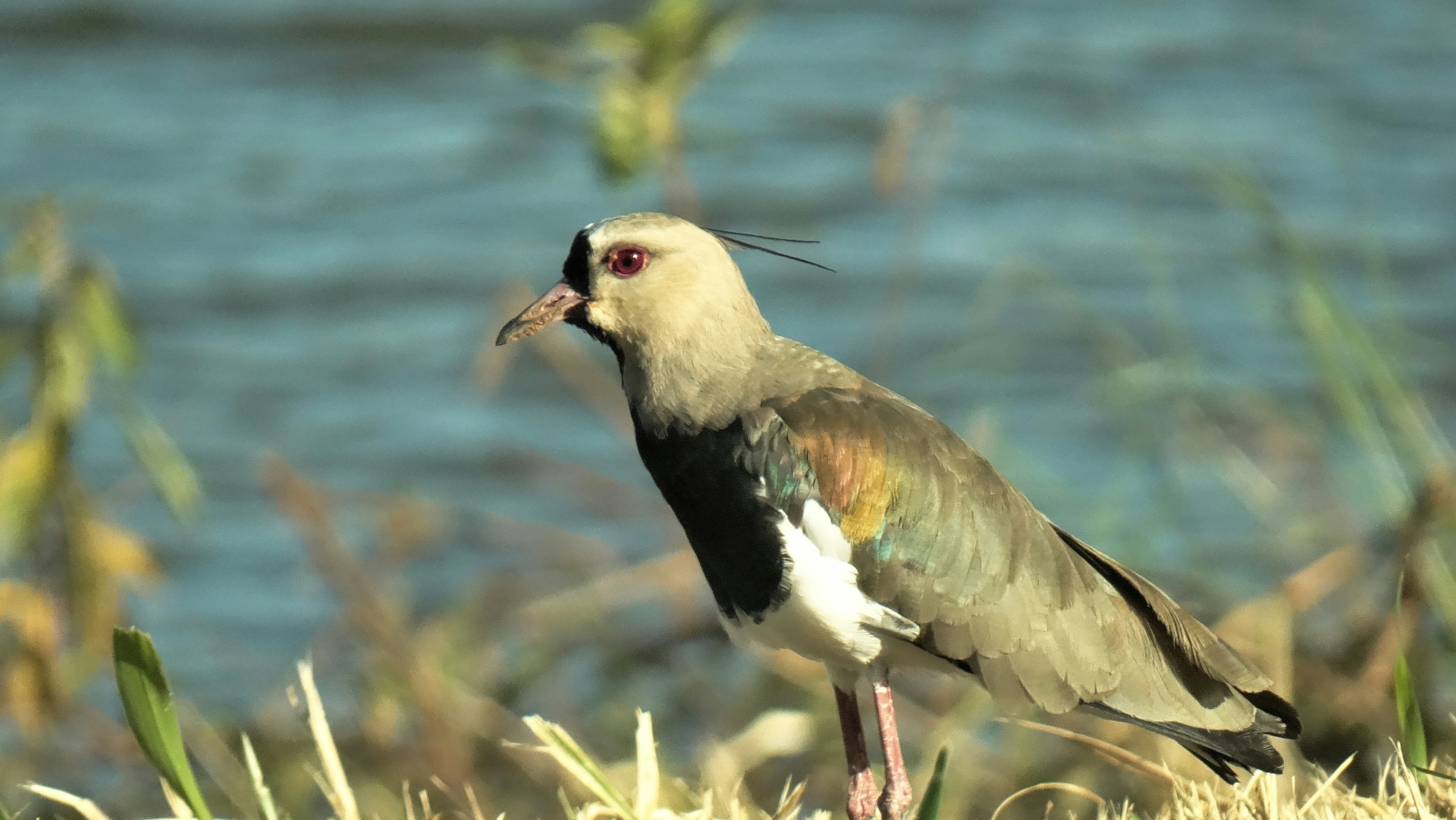 Photo by erick_martins