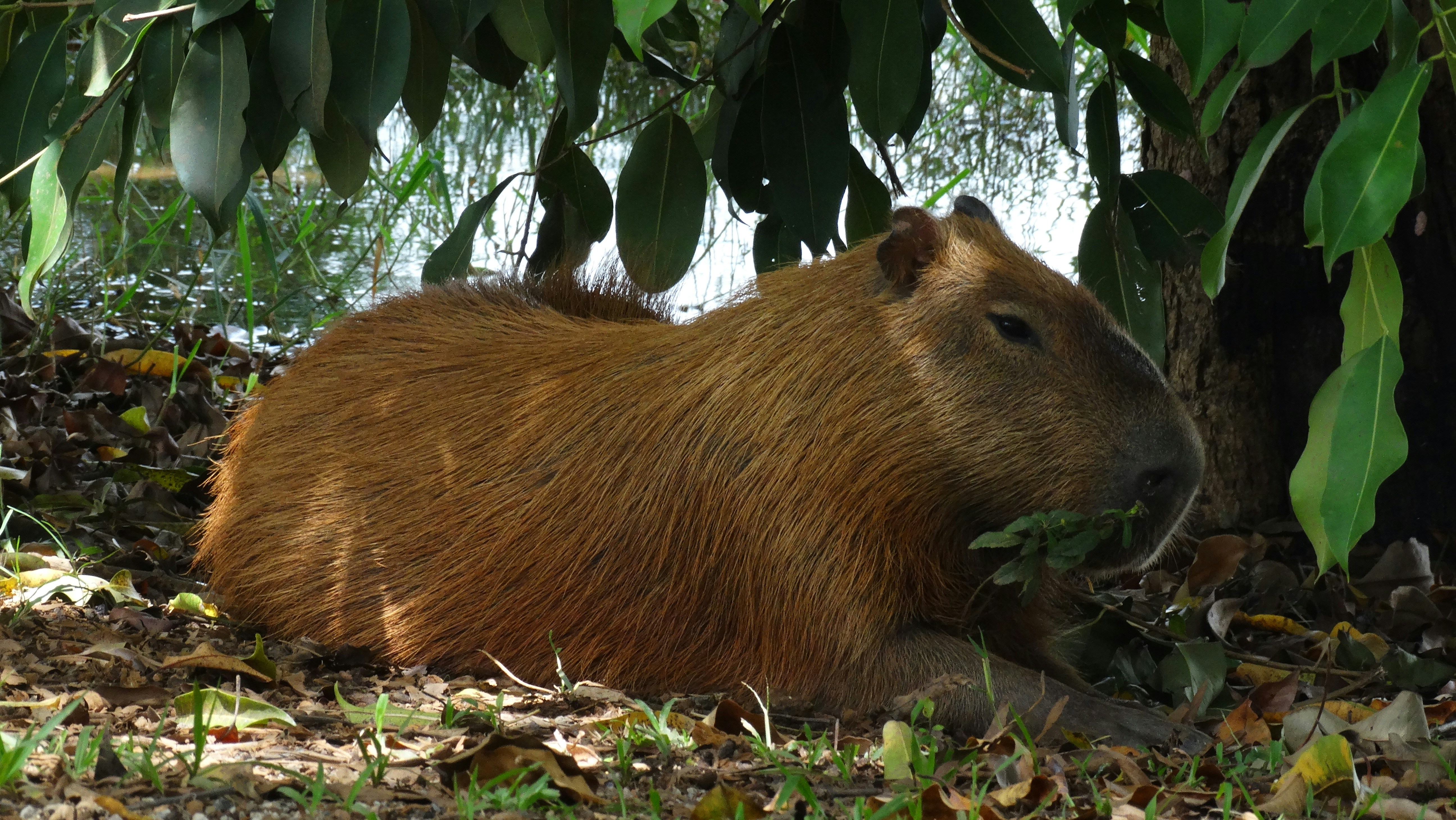 Photo by erick_martins