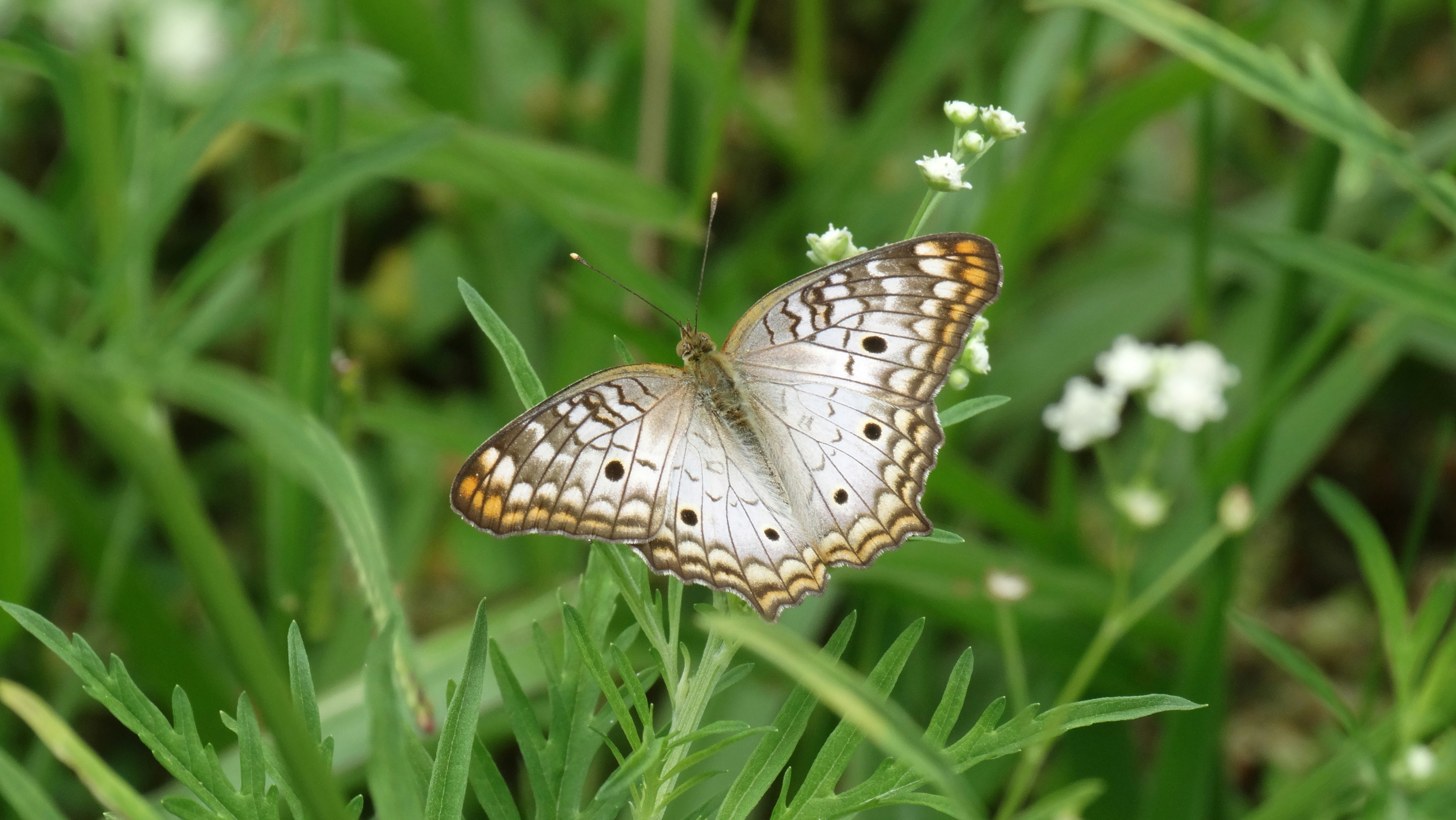 Photo by erick_martins