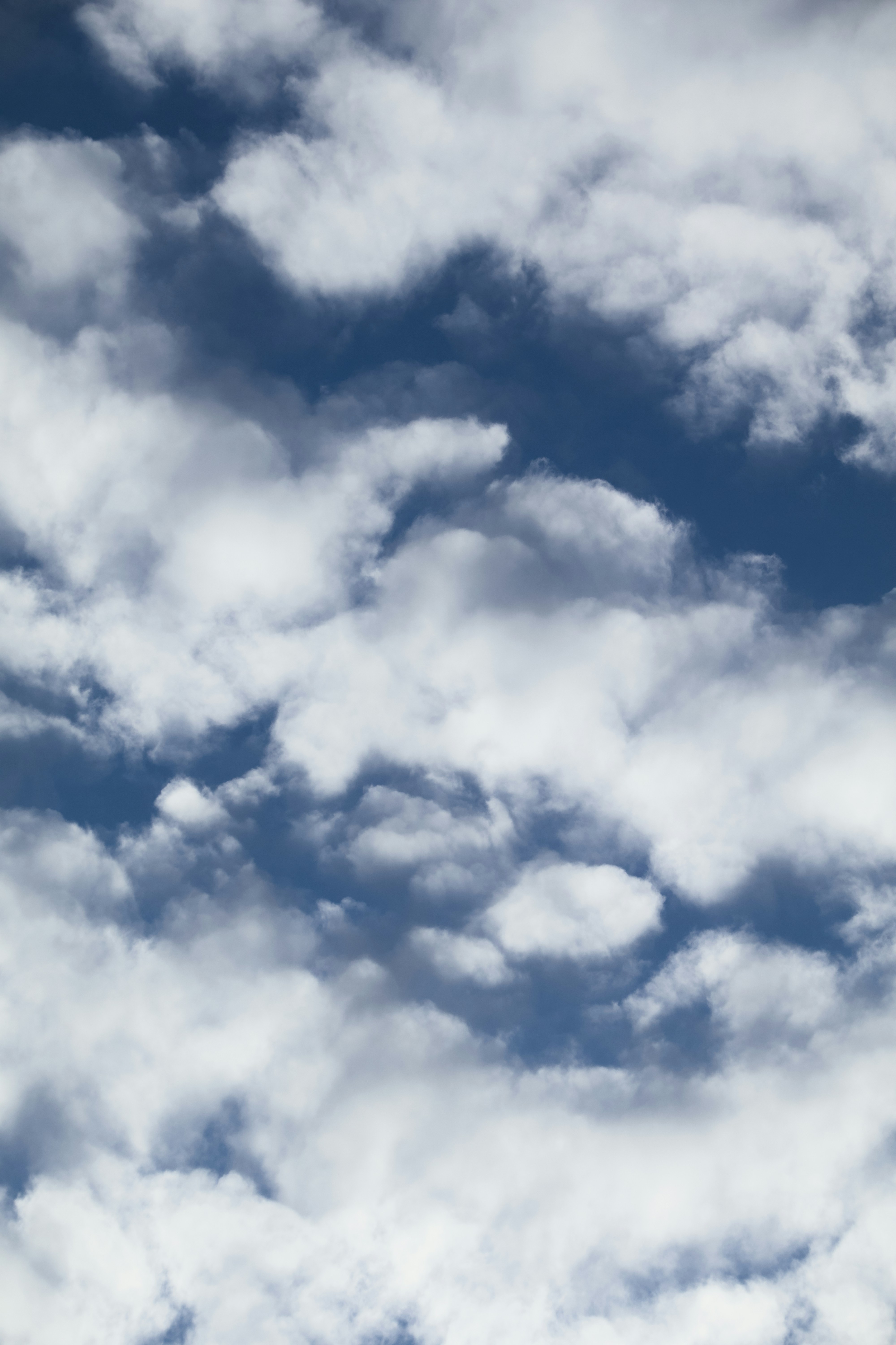 Photo by sarguninder