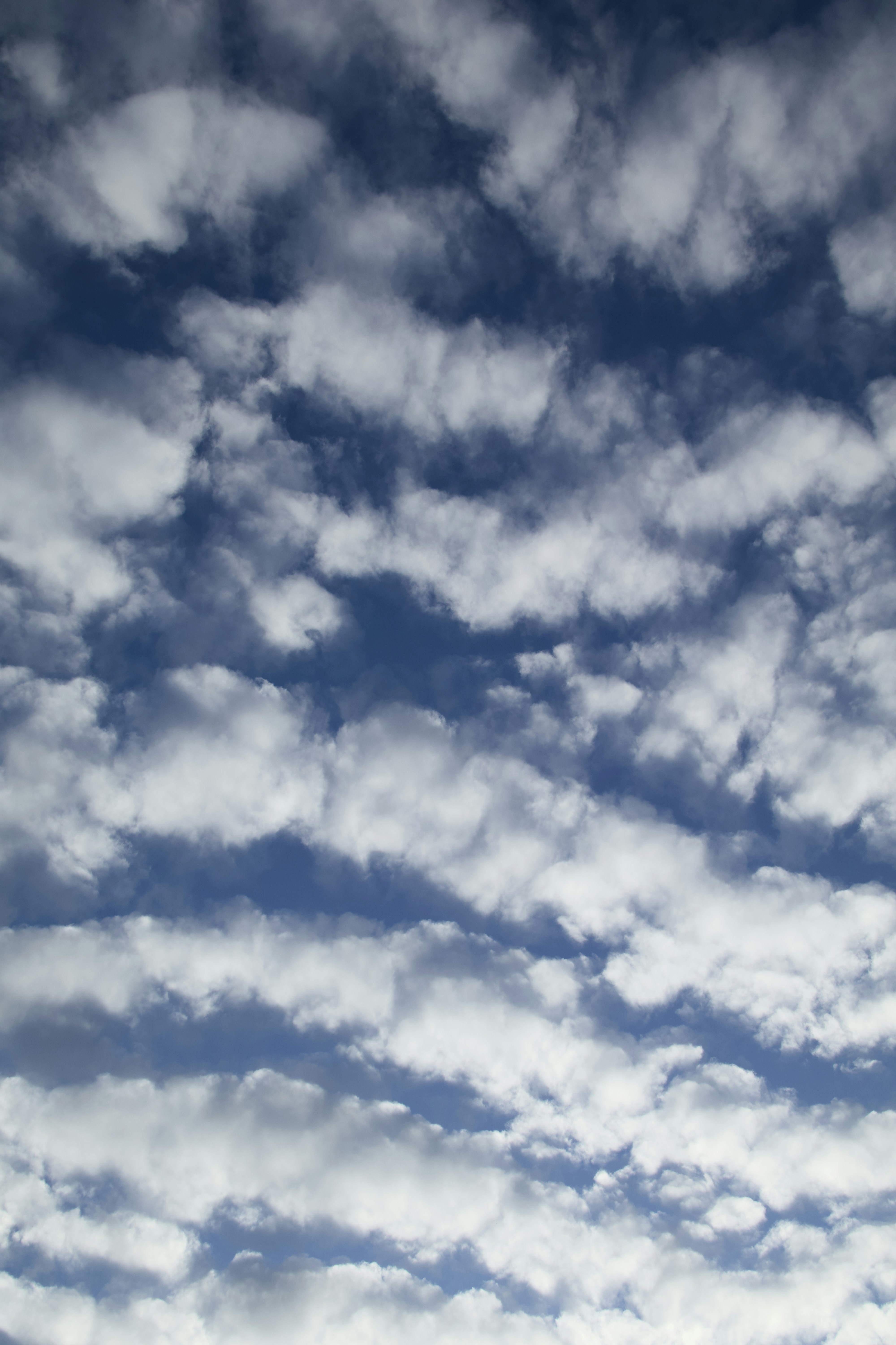 Photo by sarguninder