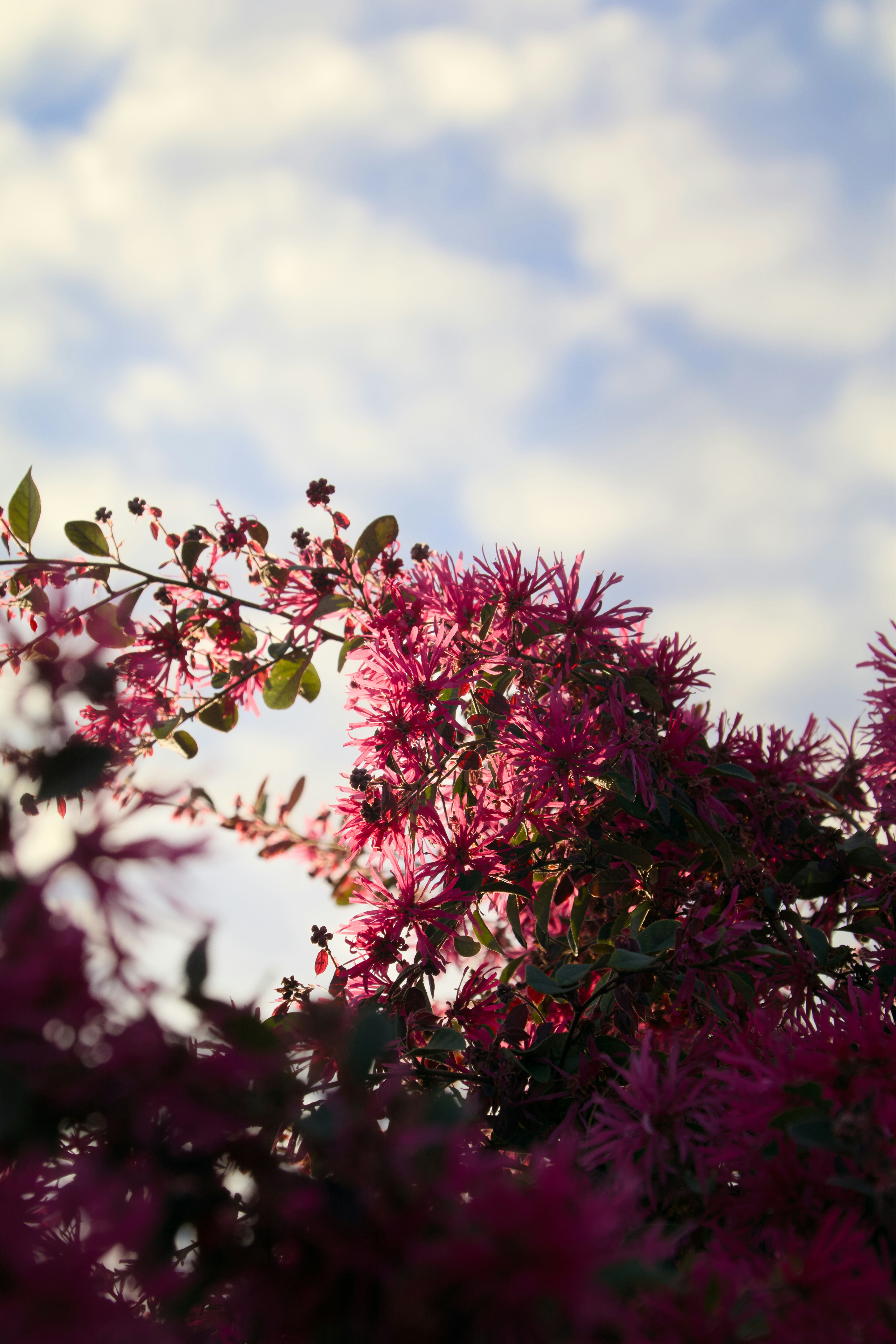 Photo by sarguninder