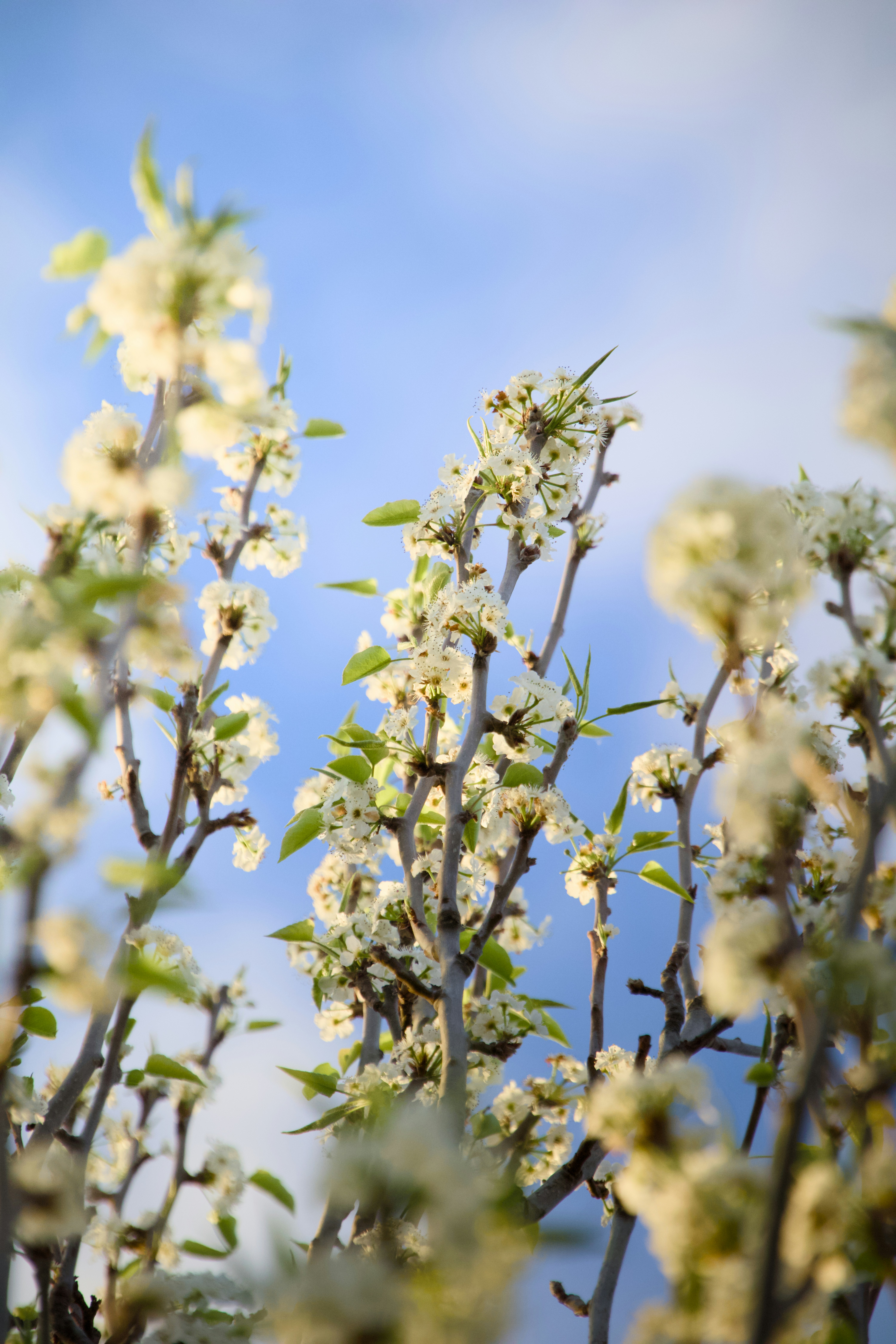 Photo by sarguninder