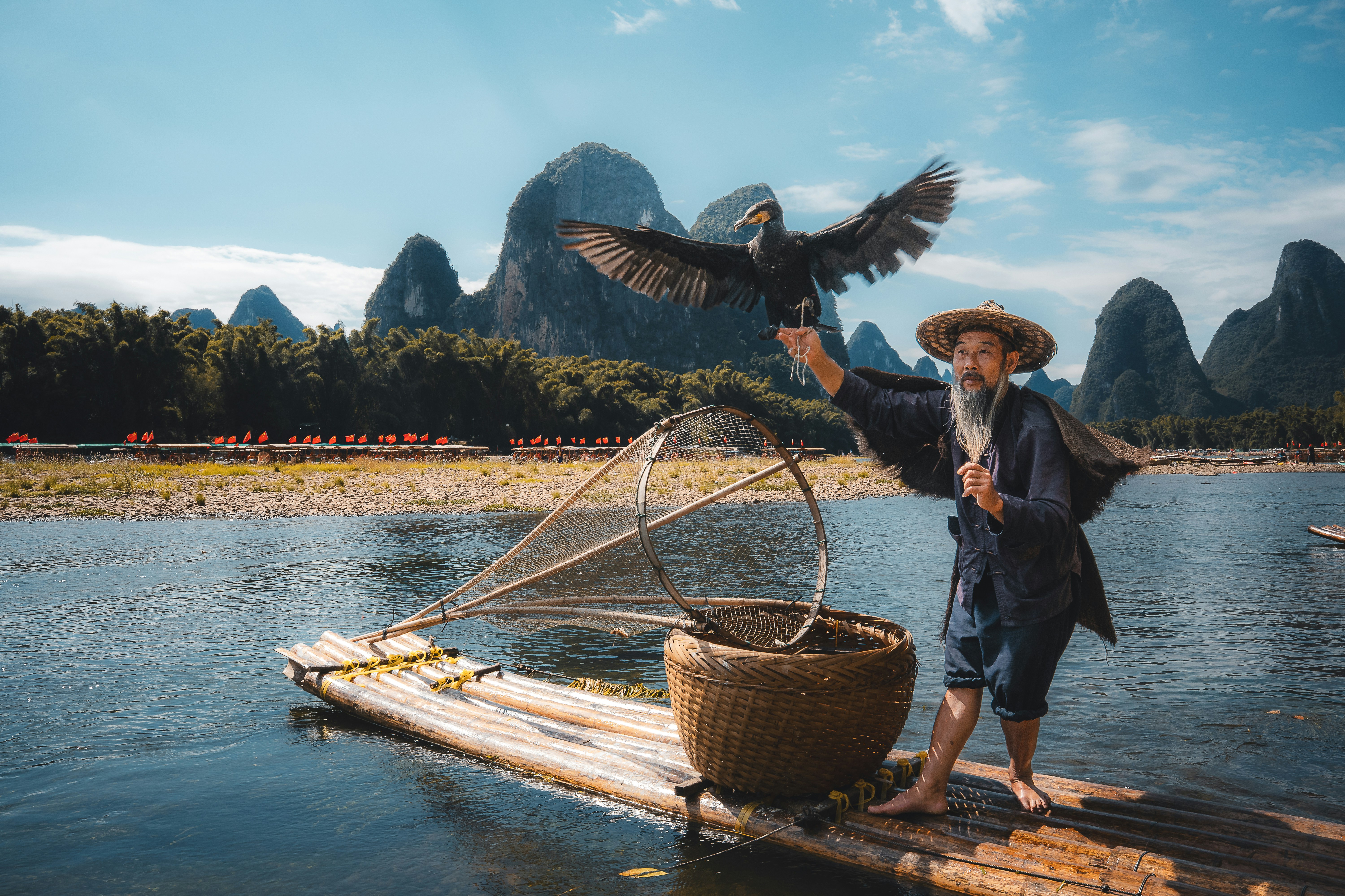 Fisherman with cormorant on bamboo raft, karst mountains background