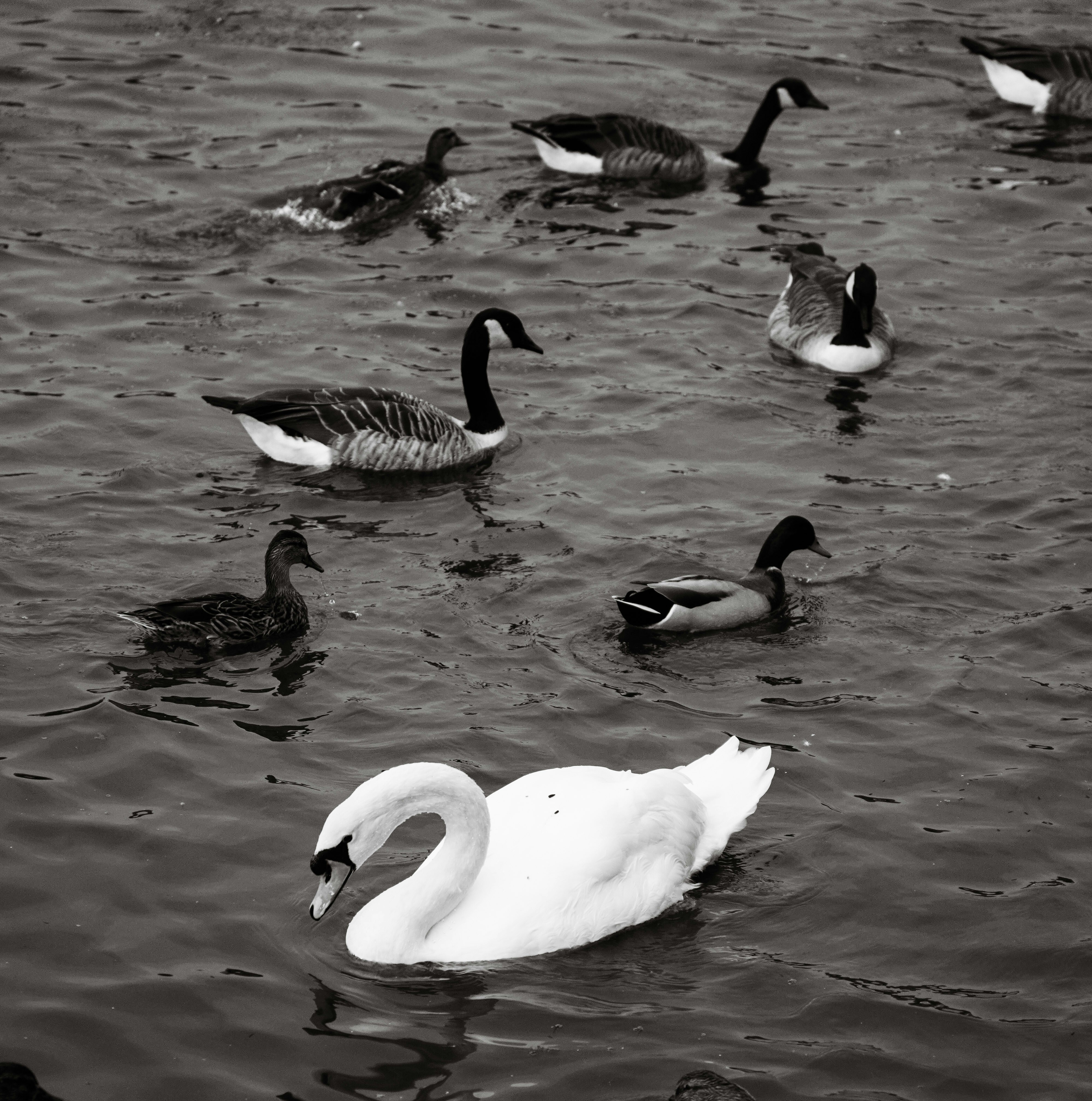 Photo by parthshoots