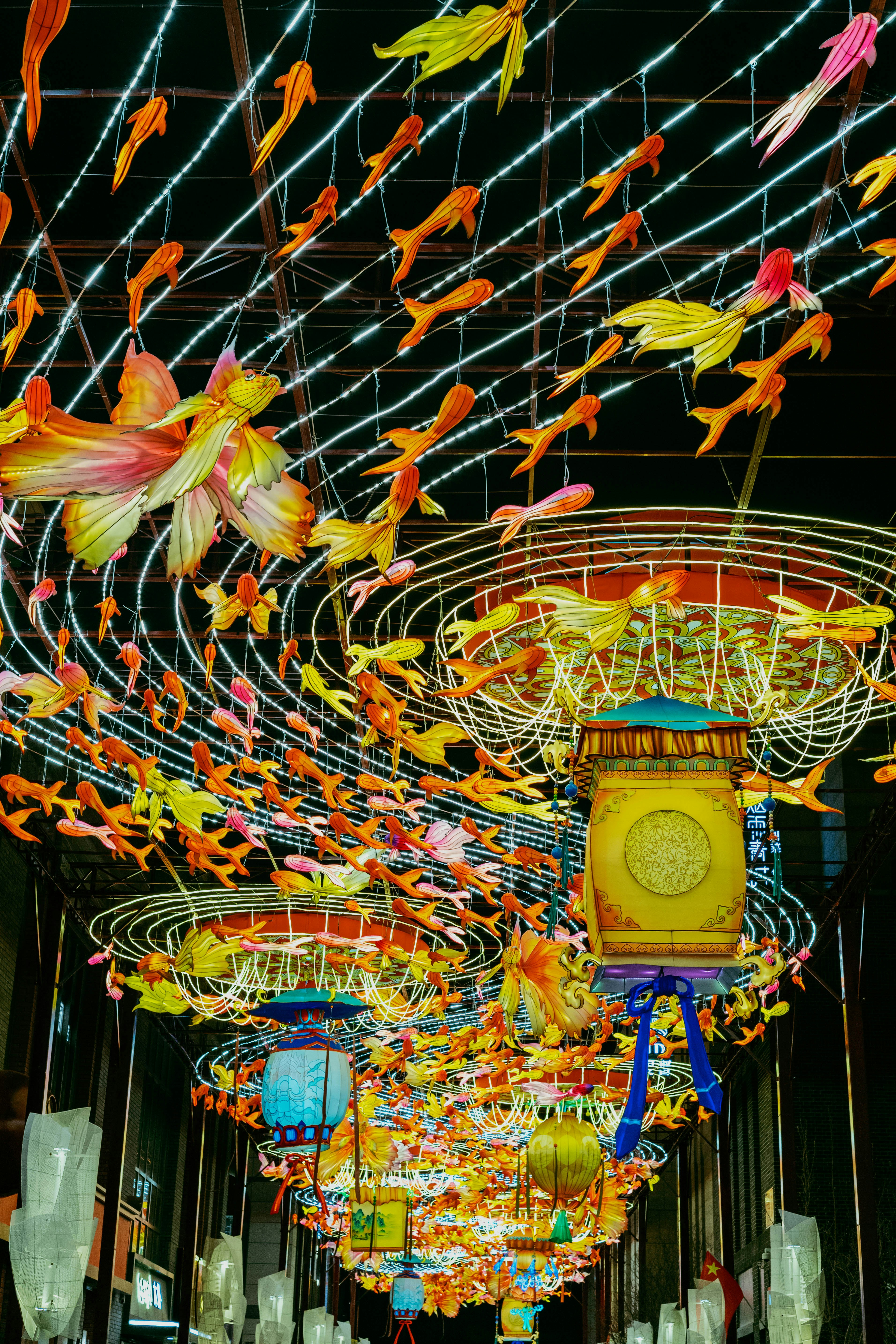 Colorful fish lanterns illuminate a dark pathway