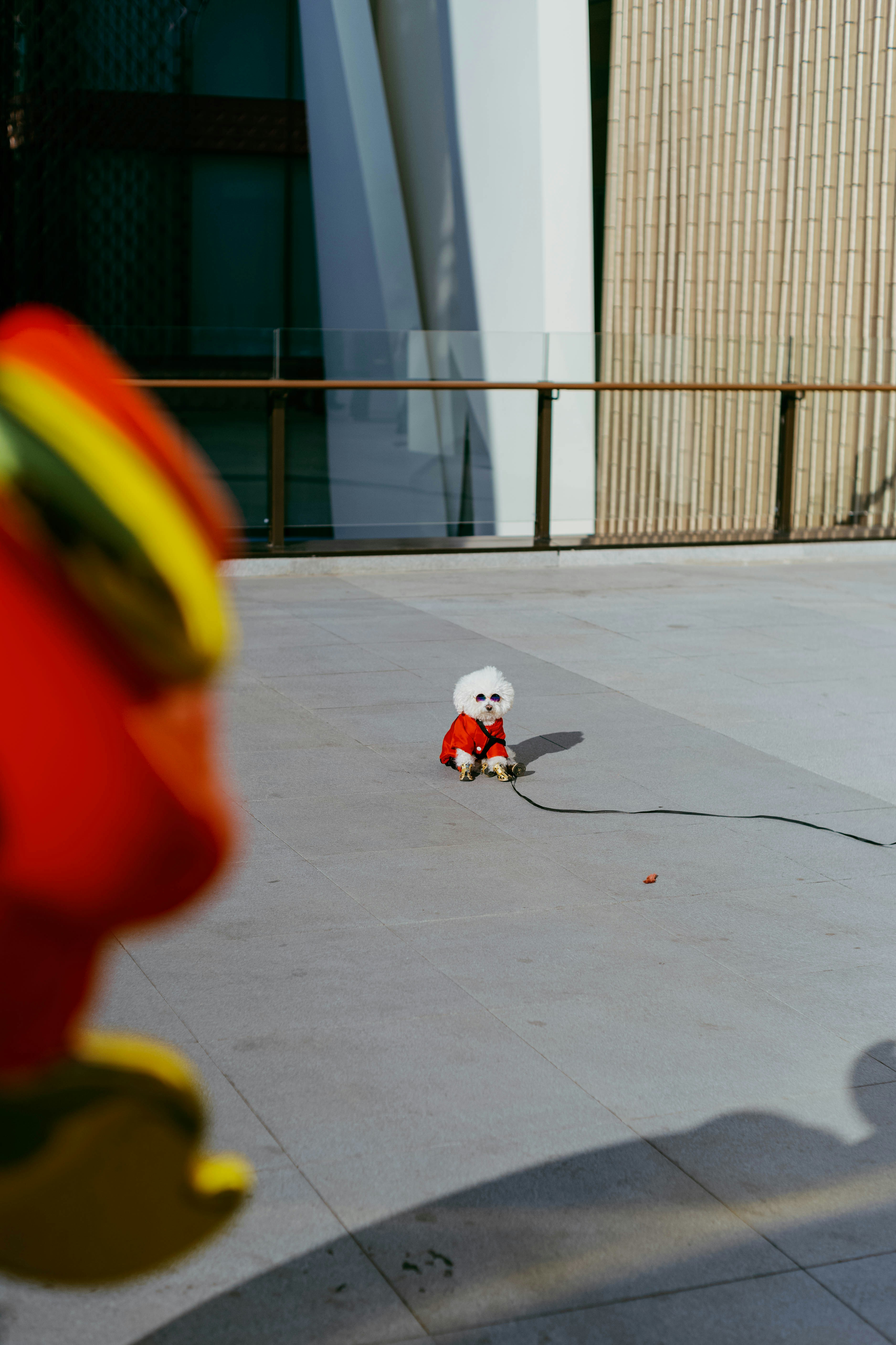 Photo by tommaomaoer