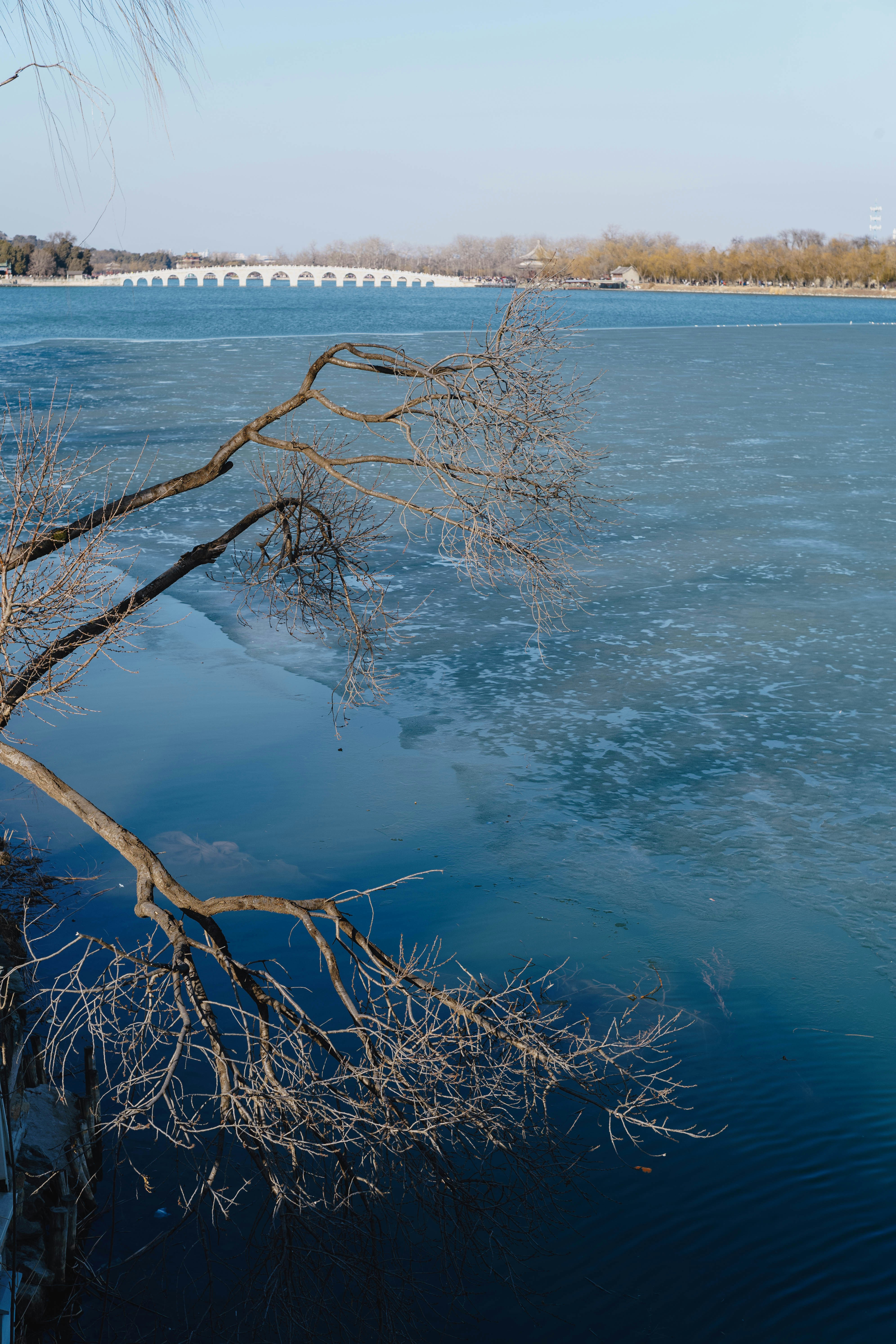 Des branches nues d’arbres au-dessus d’un lac gelé avec un pont.