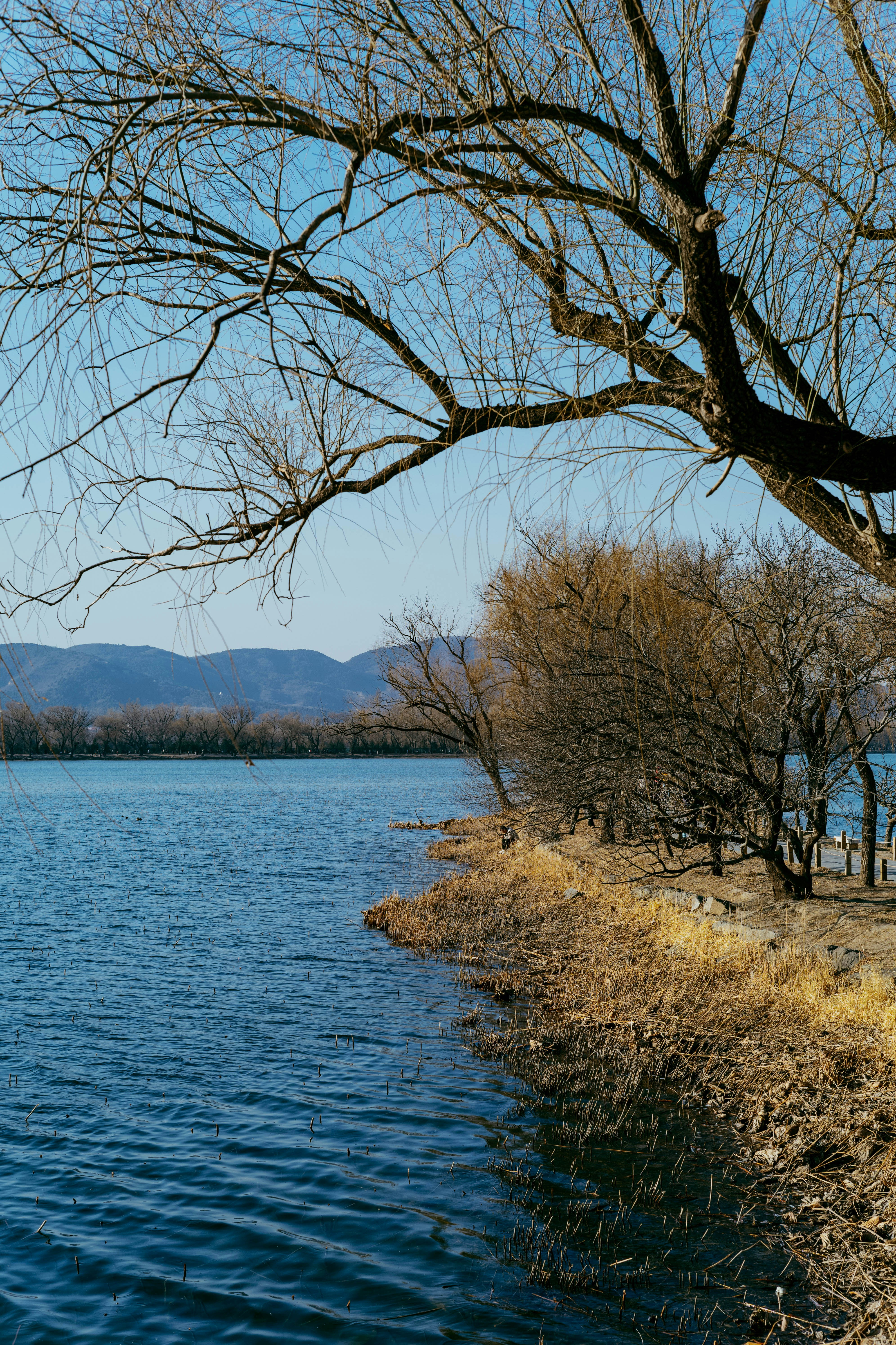 Photo by tommaomaoer