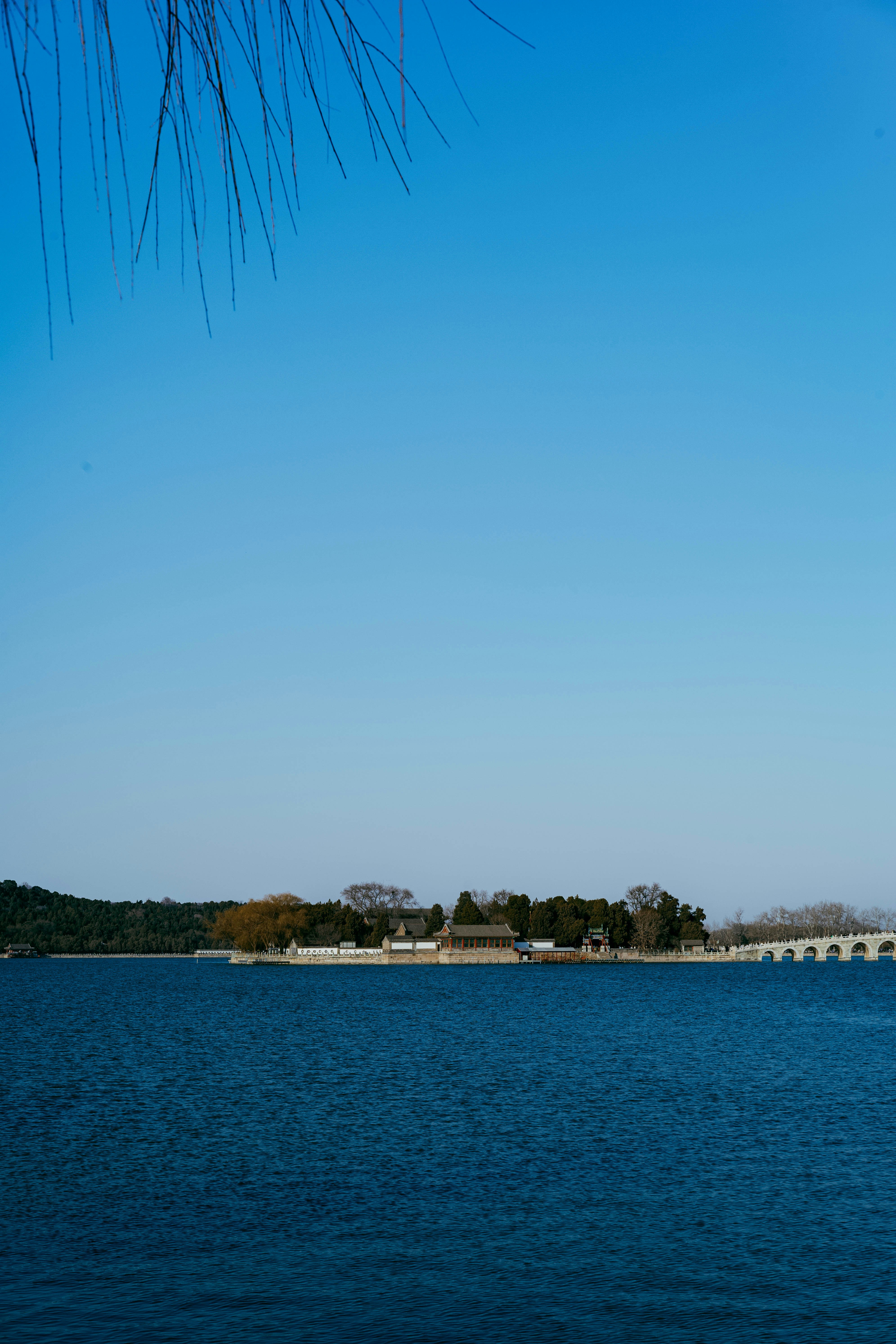 Une eau bleue calme avec des arbres et des bâtiments au loin