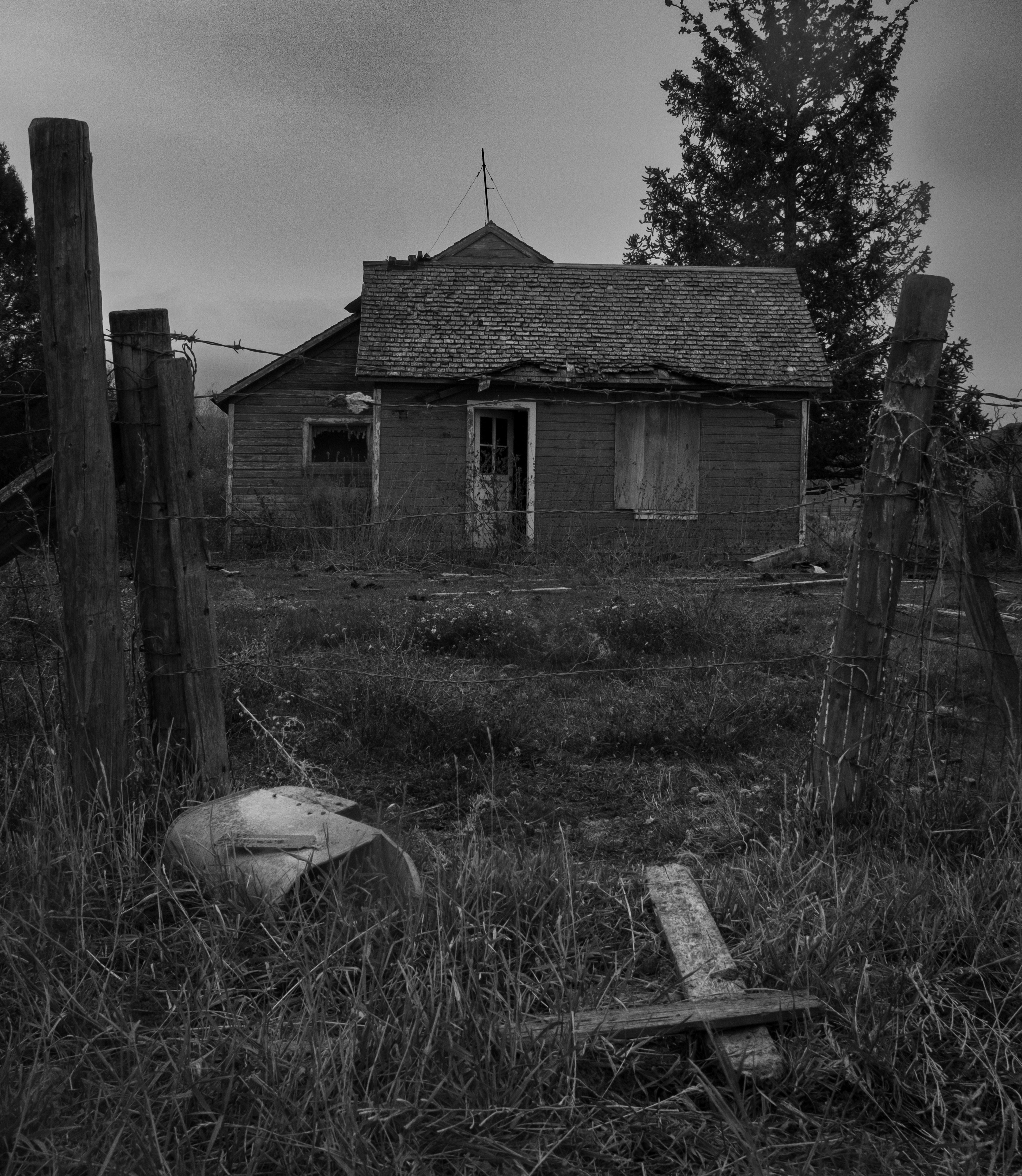 Photo by donald_merrill