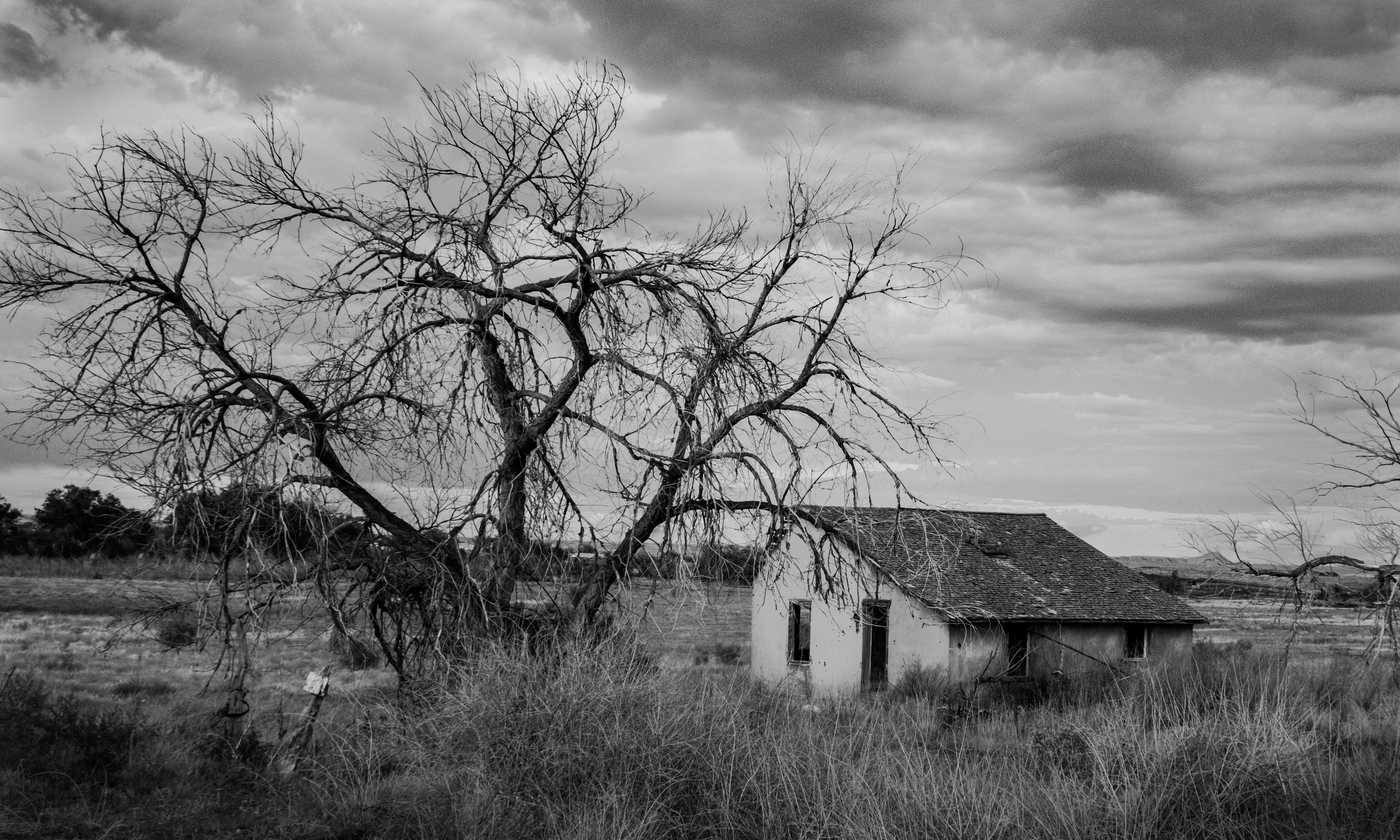 Photo by donald_merrill